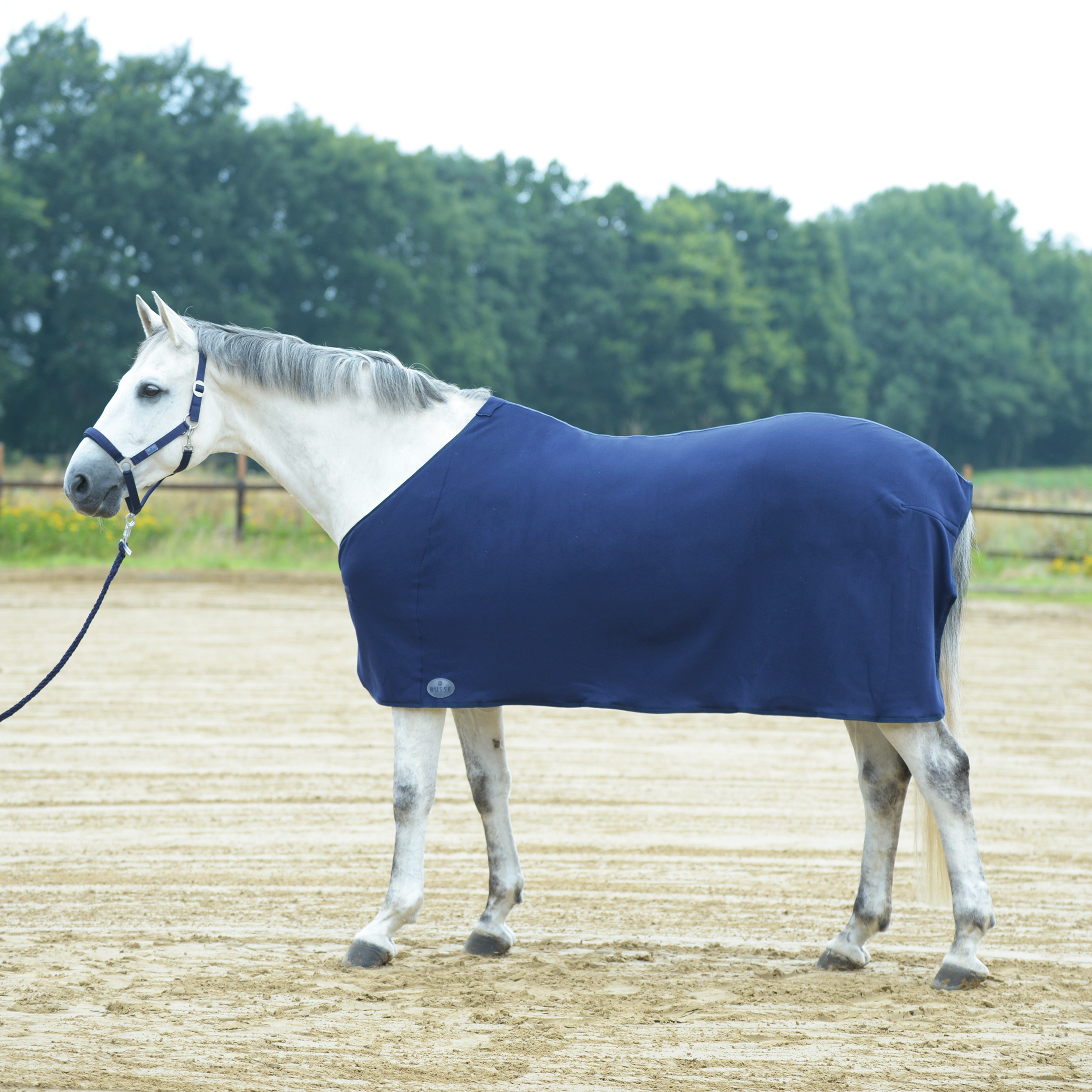 Chemise séchante Basic II