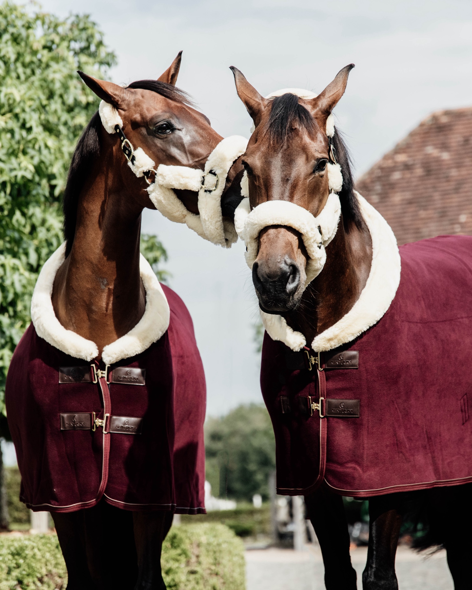 Fleece Show Heavy sweat rug