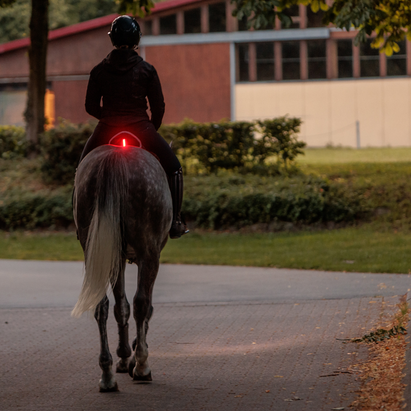 Sattelhusse"Horselight" - rote Leuchte