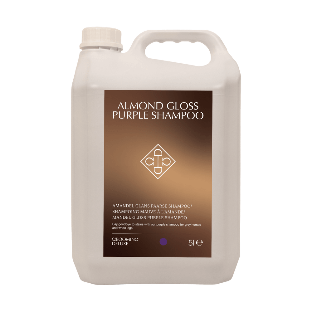 Almond Gloss Purple Shampoo