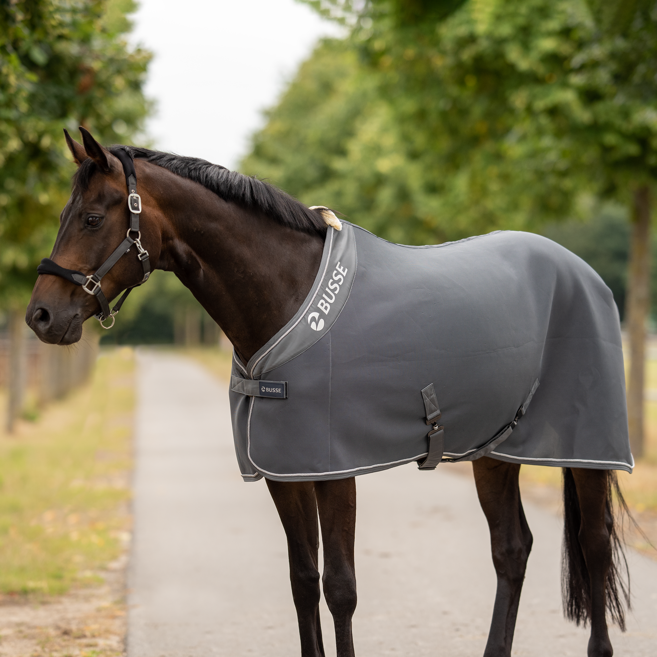 Chemise séchante 3D Air Premium
