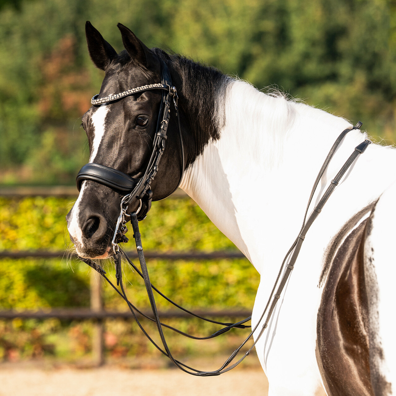 Browband SparklingStar