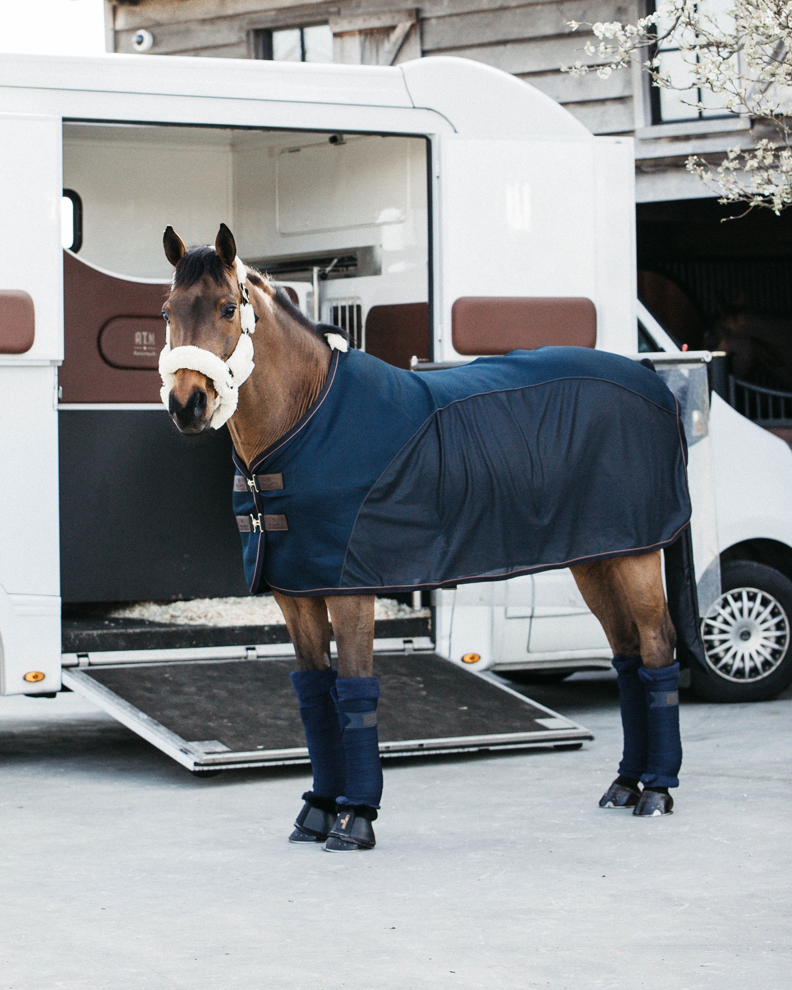 Fly rug fly combi