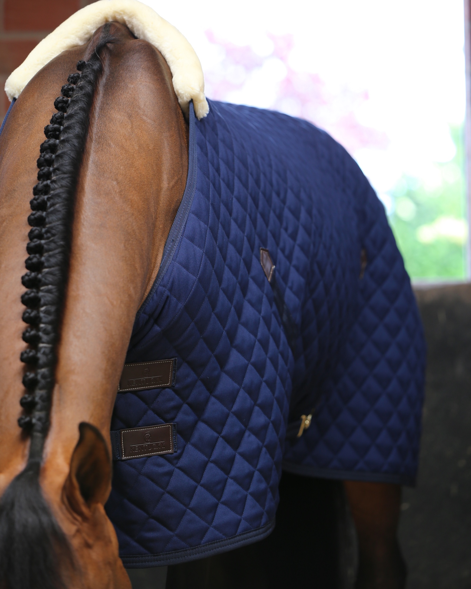 Stable blanket 200g