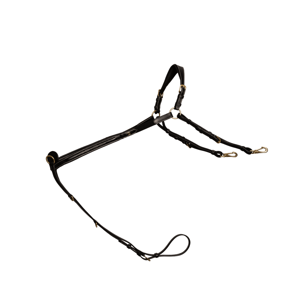 Vorderzeug mit Brücke | Dy'on