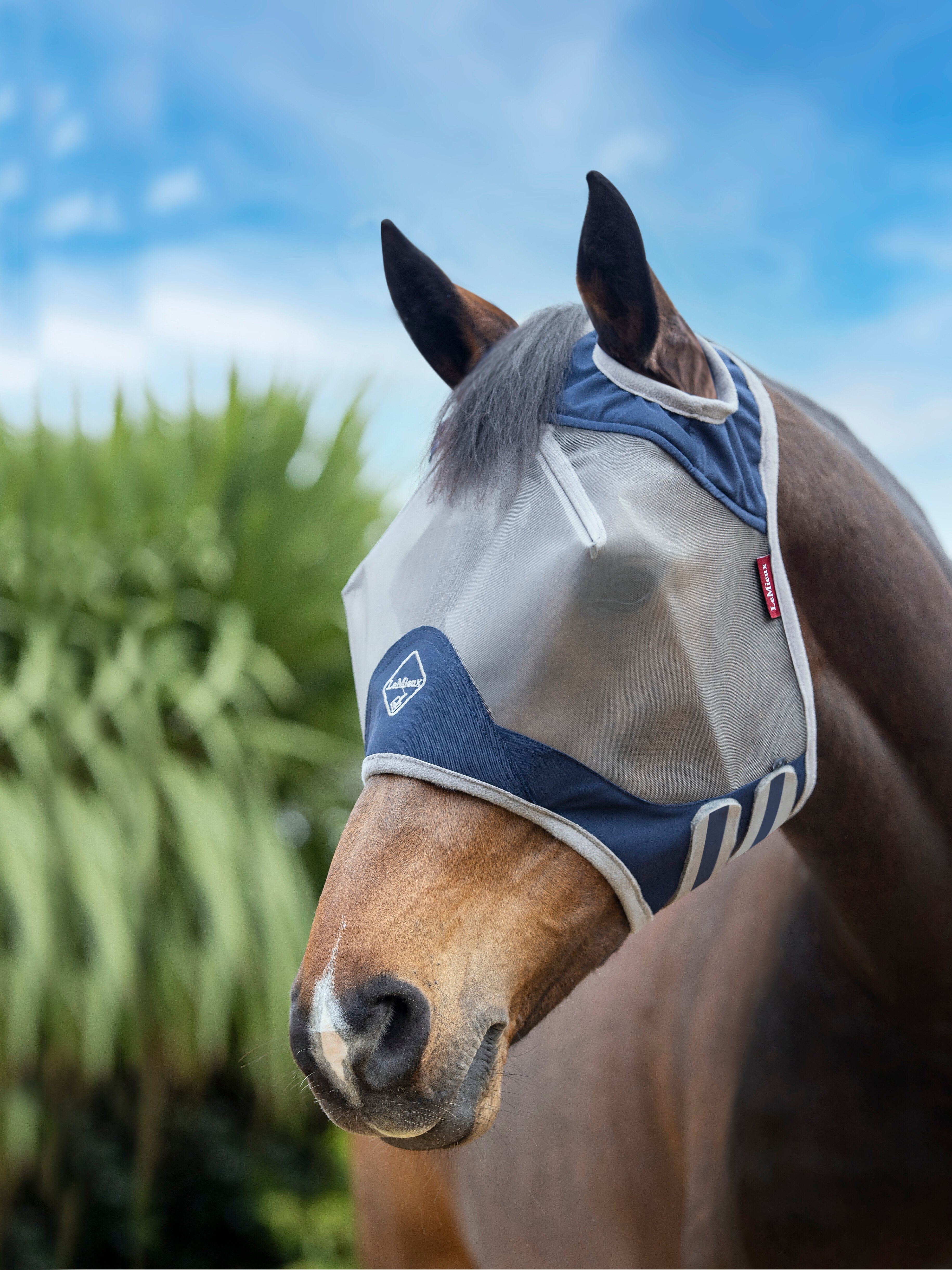 ArmourShield Pro Standard fly mask
