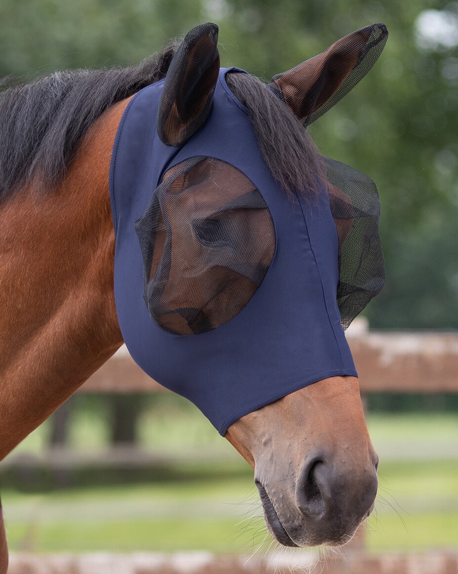 Fly mask Super Bug