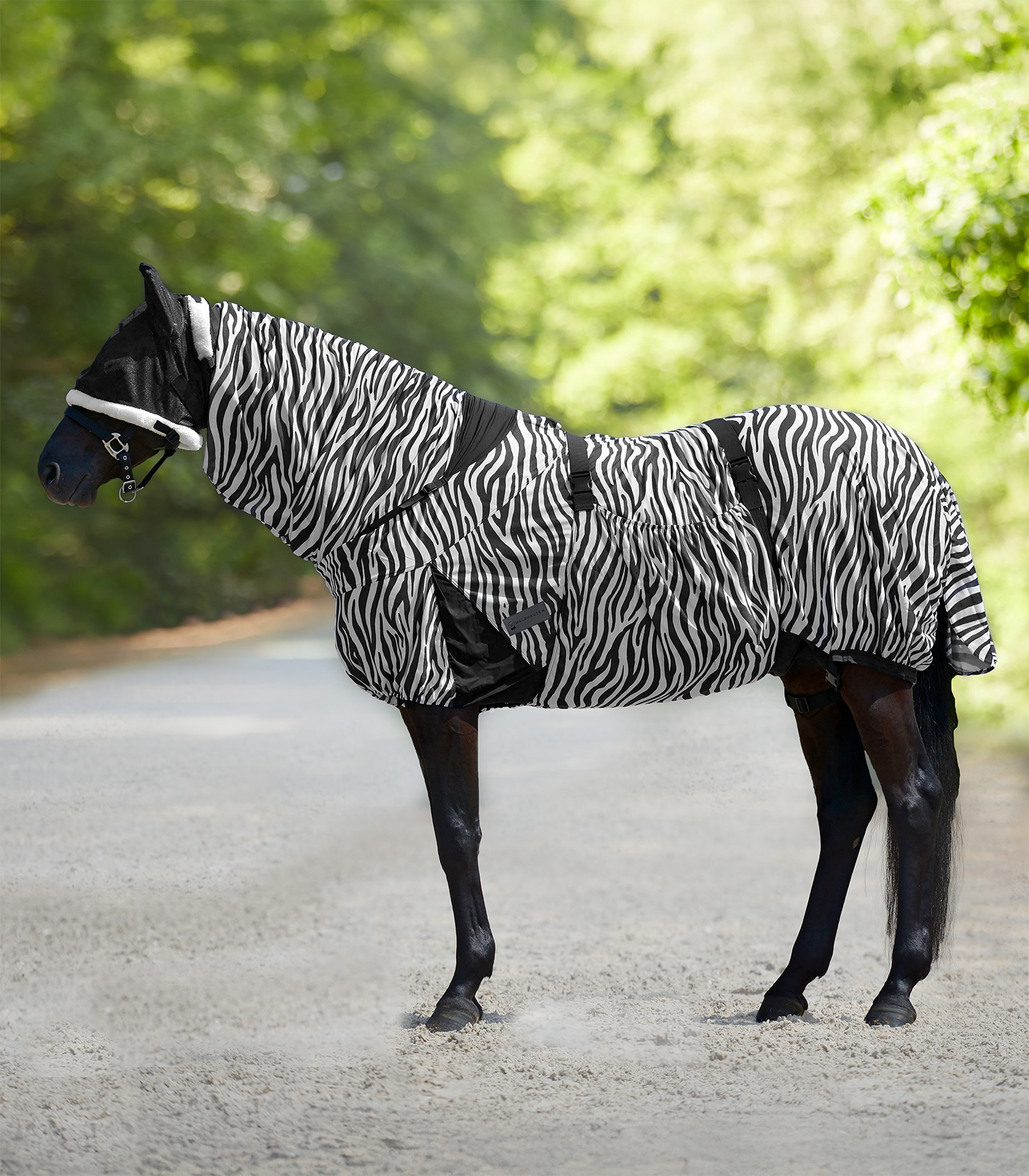 Ekzemdecke Zebra