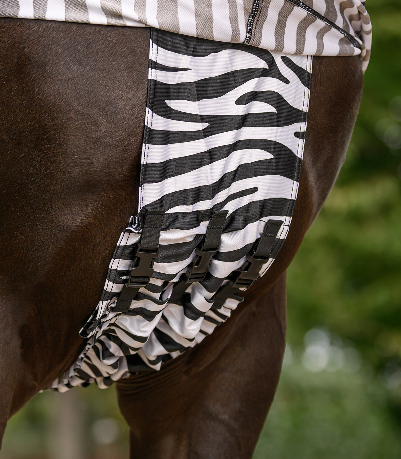 Ekzemdecke Zebra