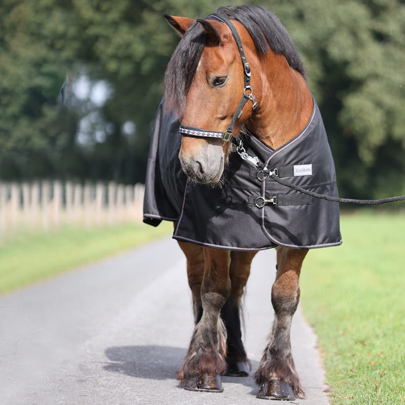 Outdoordecke "Kaltblut" - Fleece