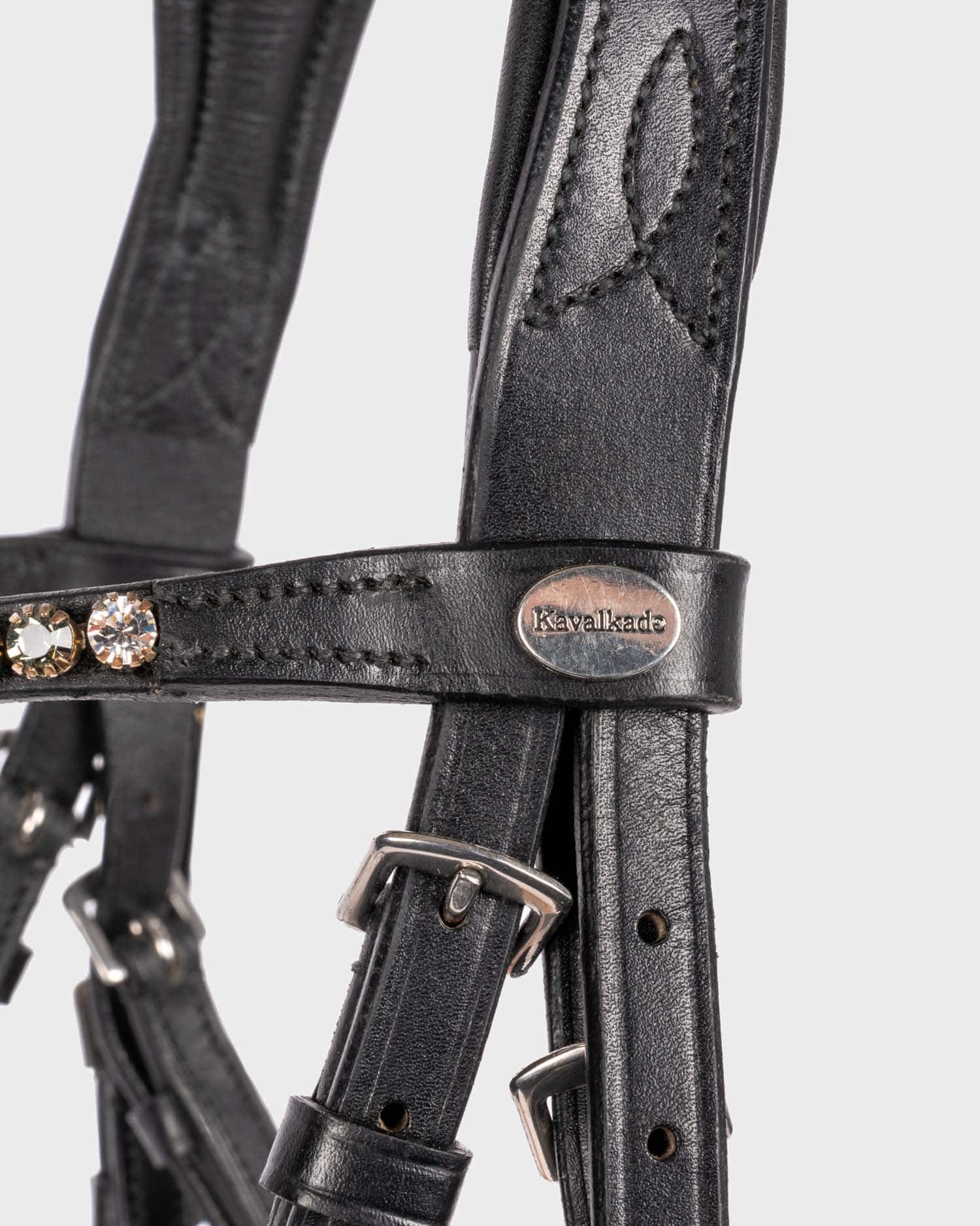Snaffle "Fiala" hann.