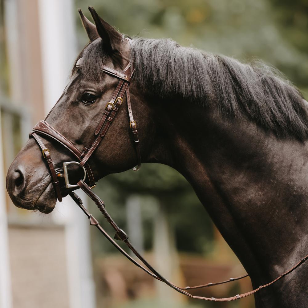 5/8" (16 mm) Jagdzügel mit 7 Lederstegen | Dy'on