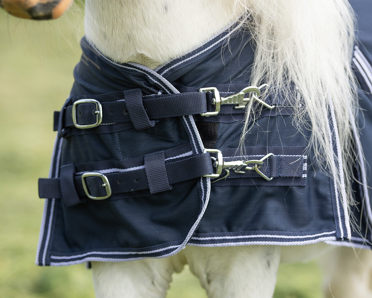 Couverture d'écurie QHP Falabella 200g | GmbH Couverture d'écurie QHP Falabella 200g | GmbH