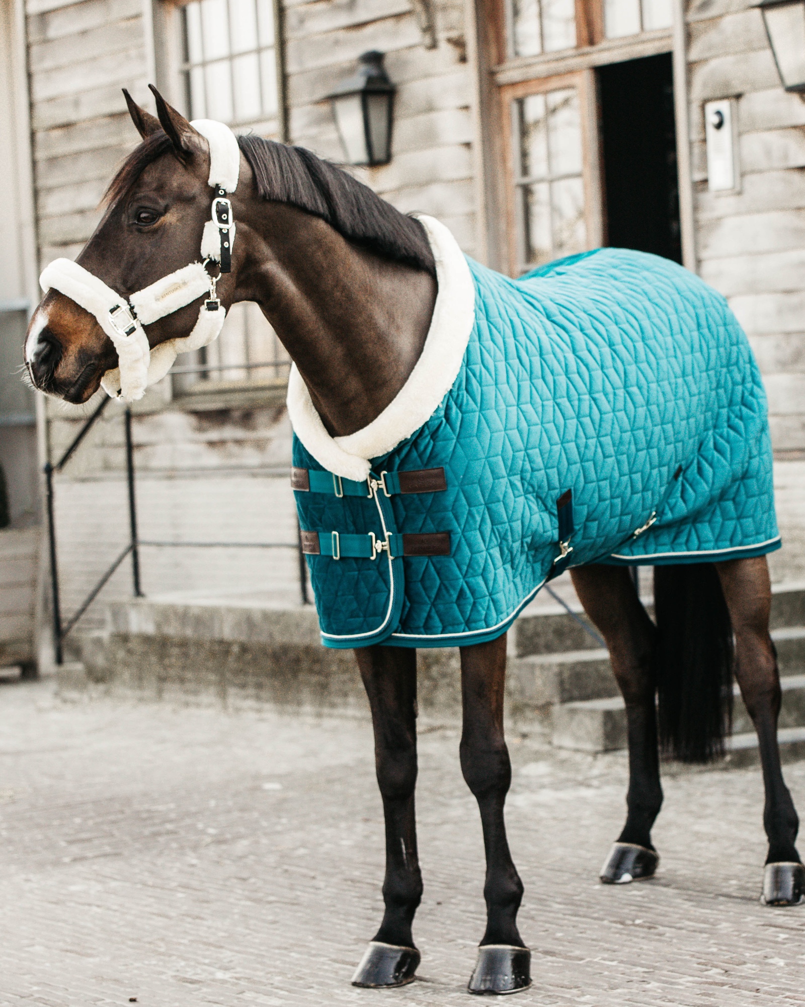 Show rug Show Rug Velvet 160g