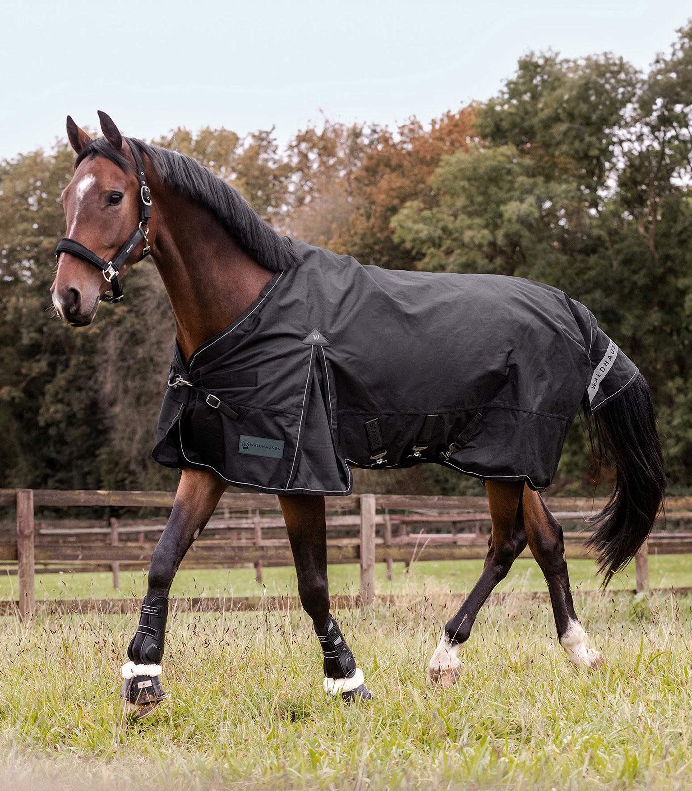 Outdoordecke Scandic, Light