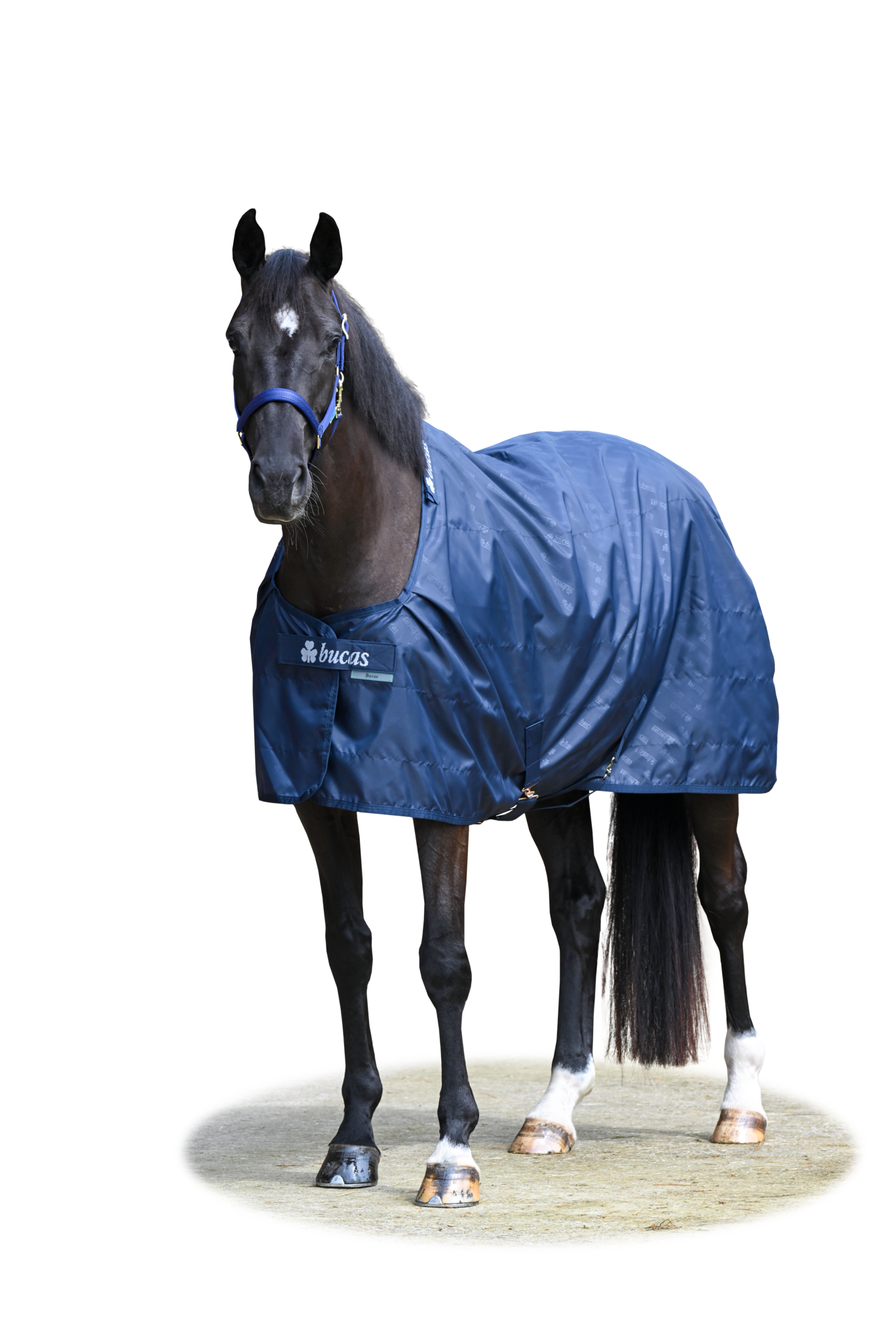 Stalldecke Stable Sheet in Navy/Navy