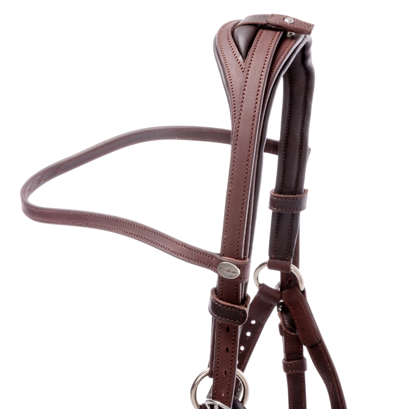 Wanderreittrense "Artemis"
