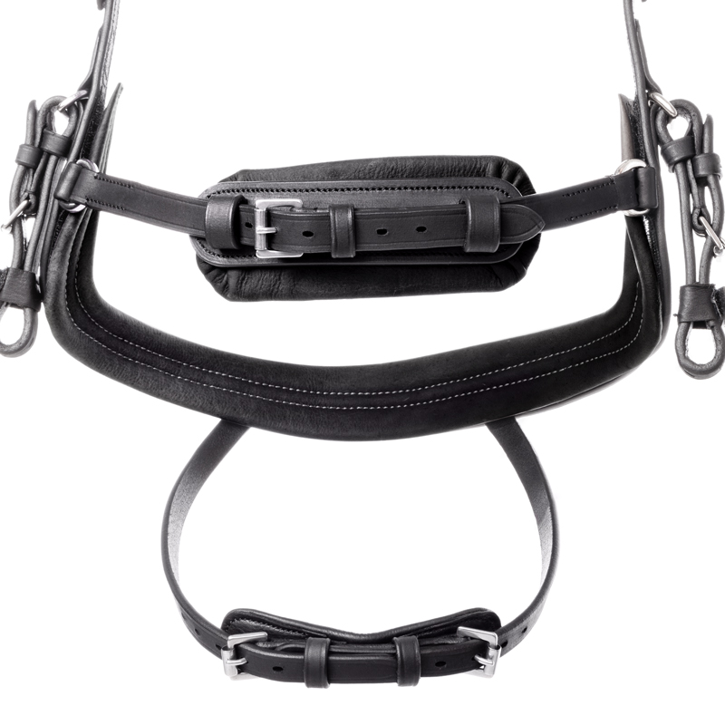 Bridle oiled leather "Caliano Via" close-comb.