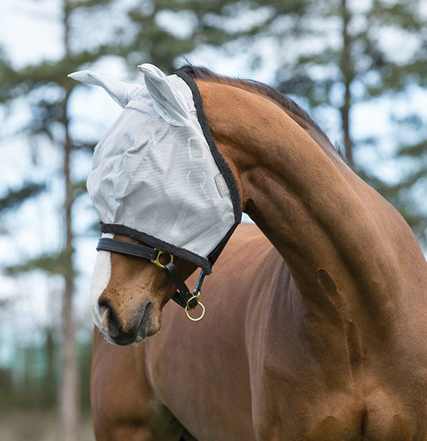 Fly mask Amigo FlyMask