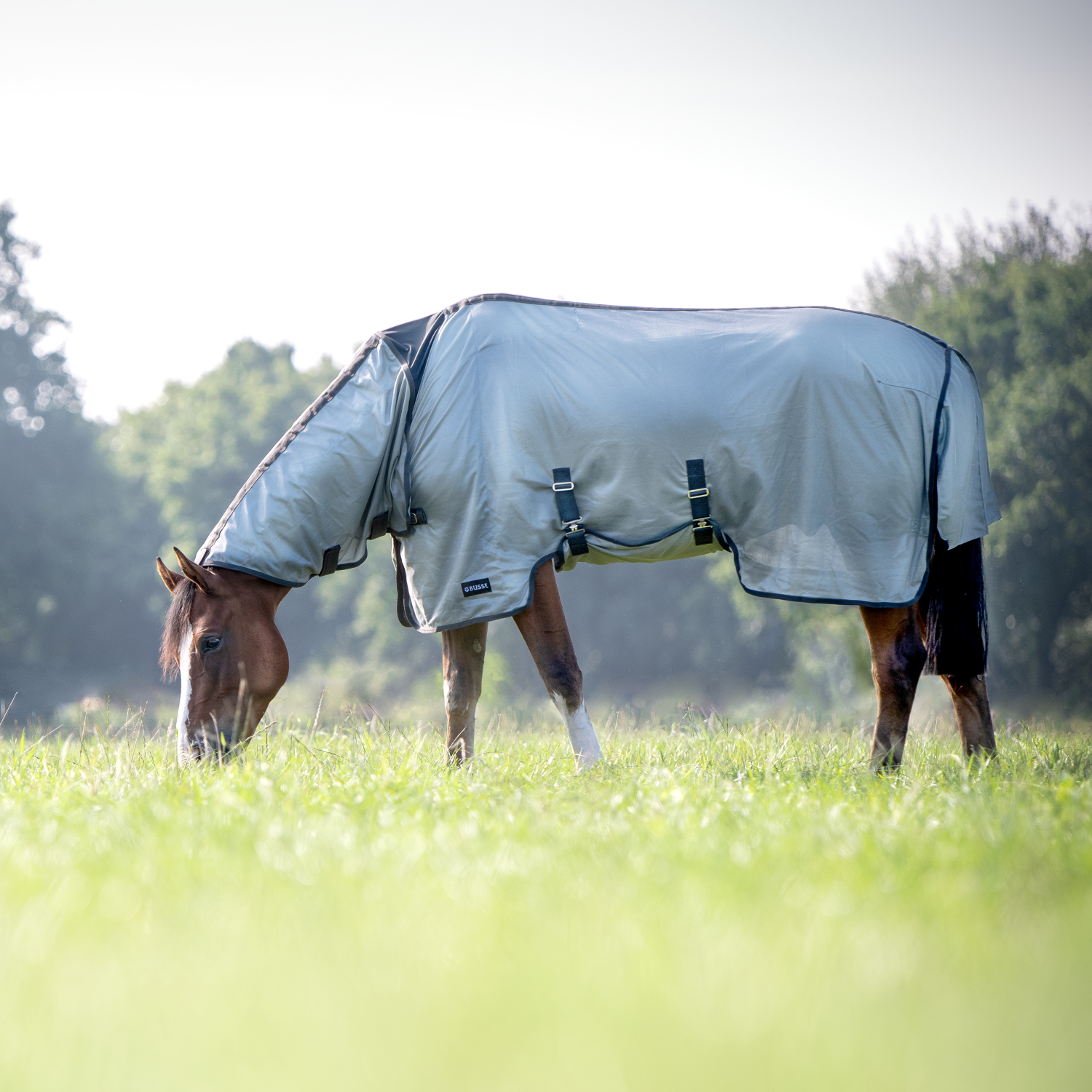 Outdoor fly rug Superb