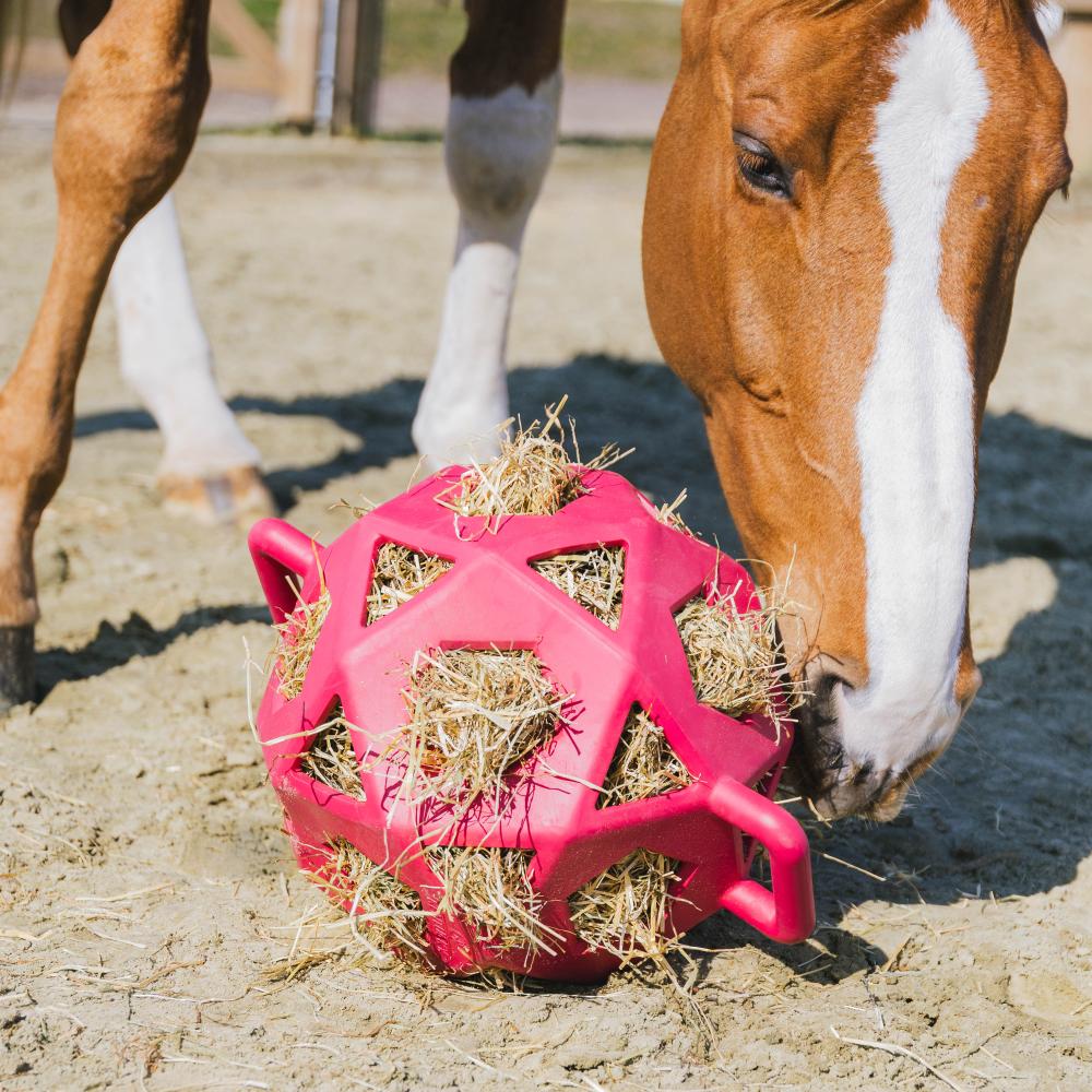 Relax horse game & hay ball