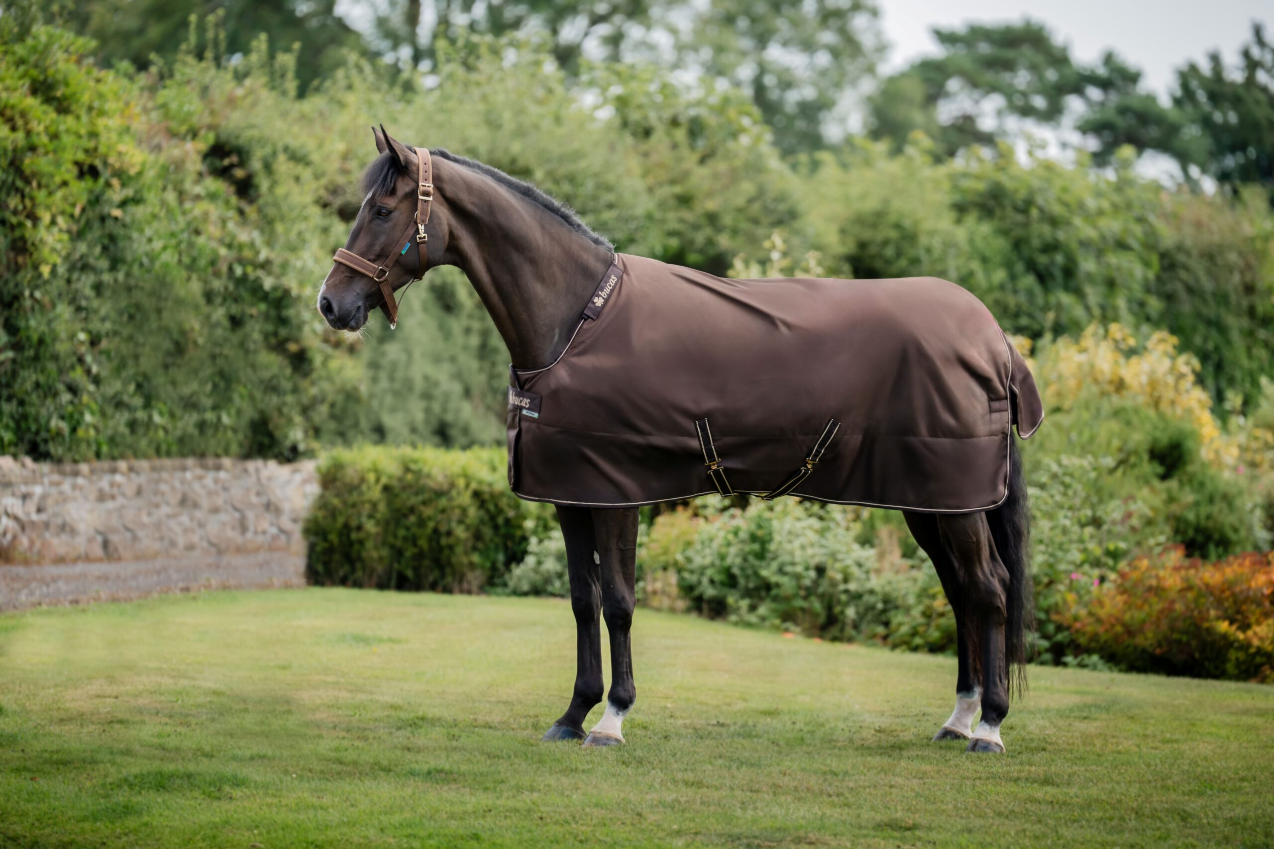 Outdoordecke Irish Turnout 50 g mit Halsteil in Espresso