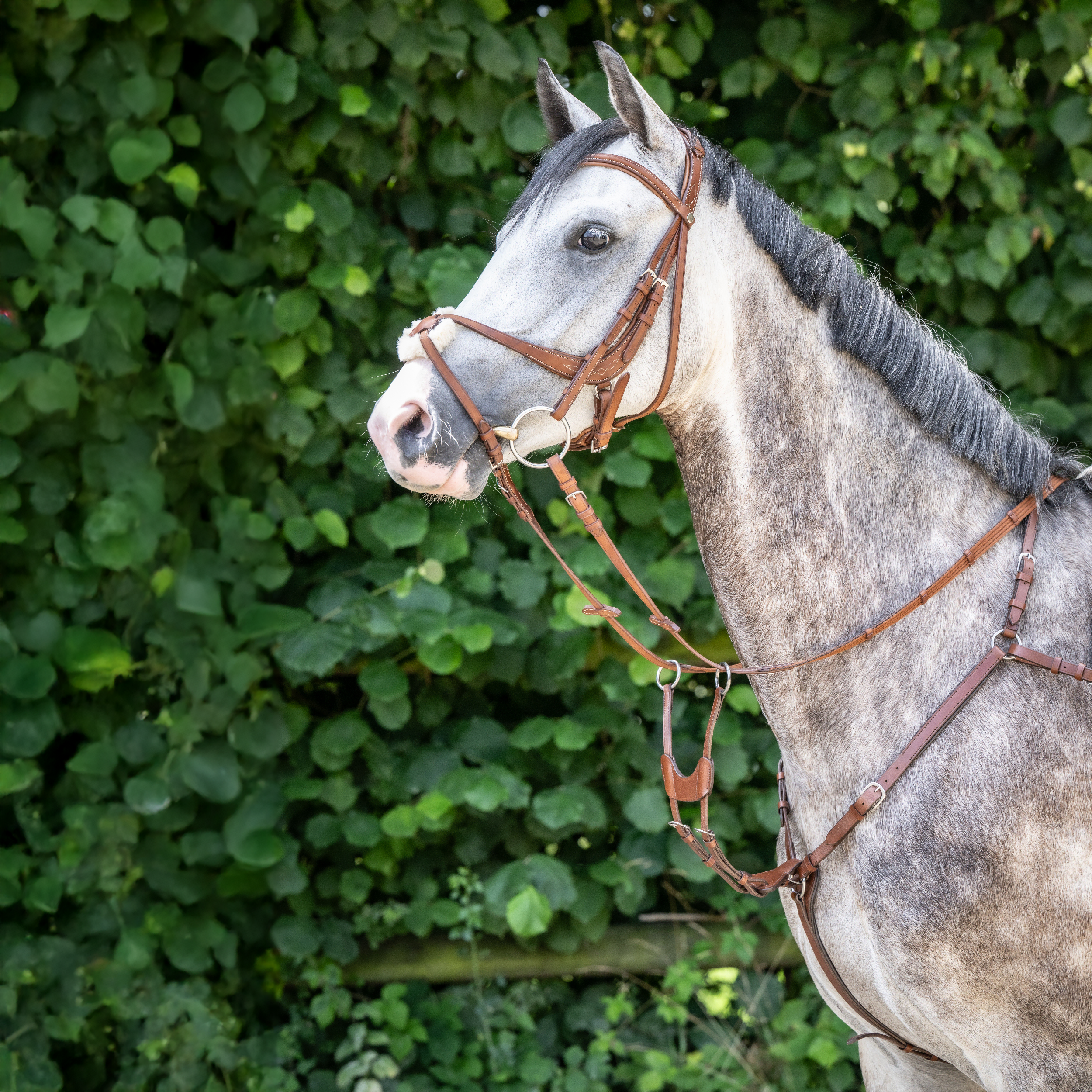Collier de chasse IMOLA II