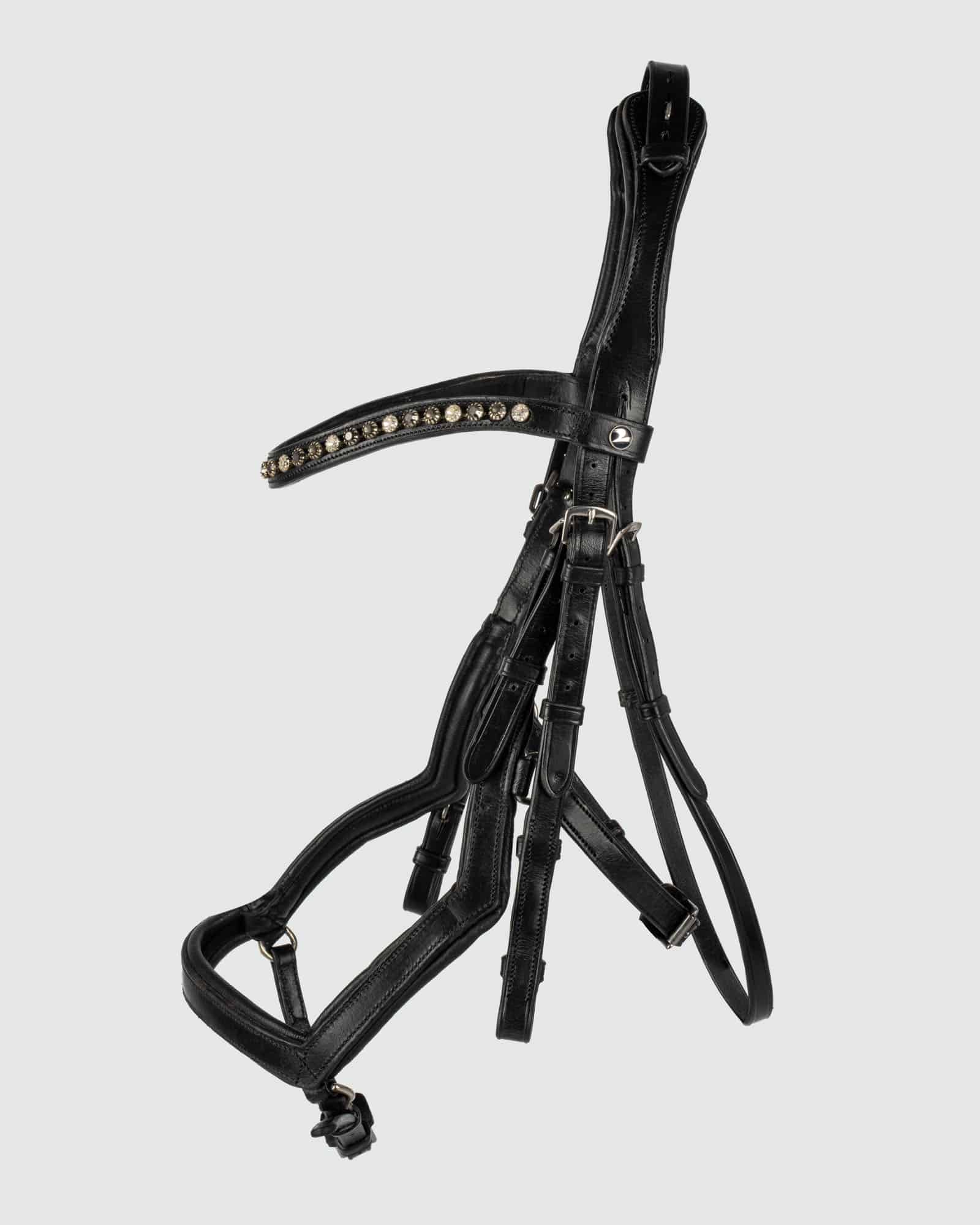 Snaffle Feeling