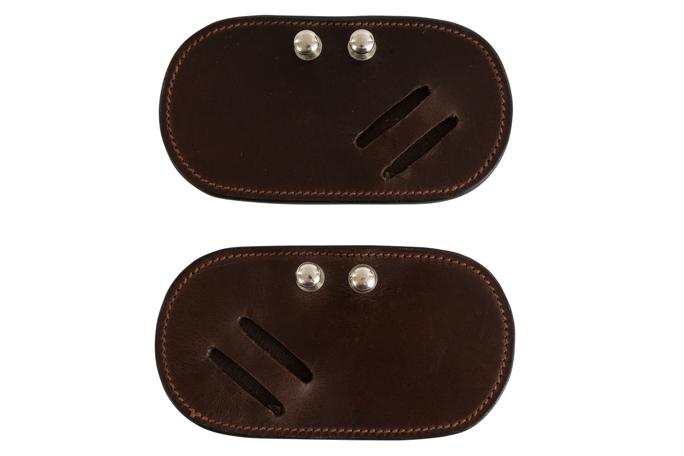 Hackamore protector