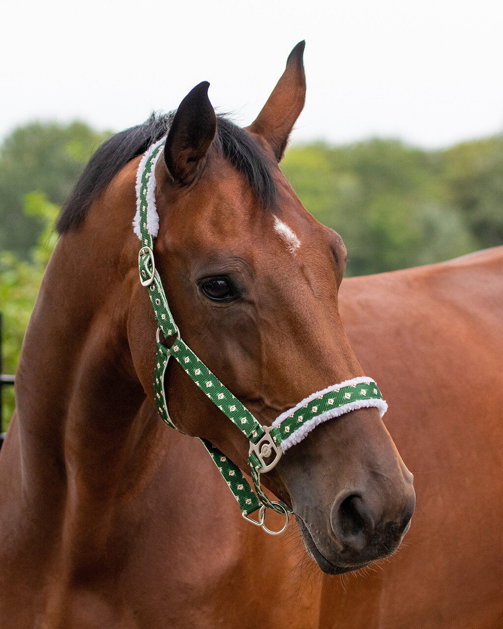 Christmas halter