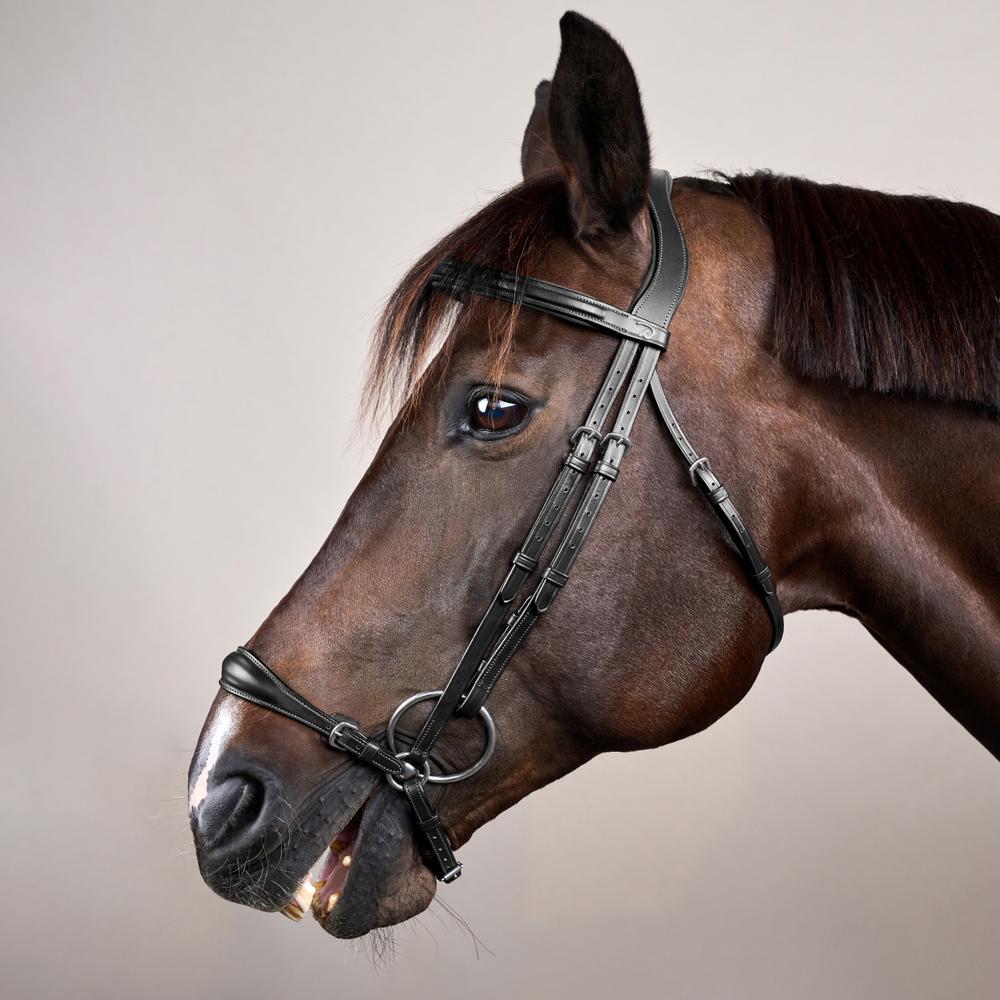 Trense mit verstellbarem hannoverschem Reithalfter NE