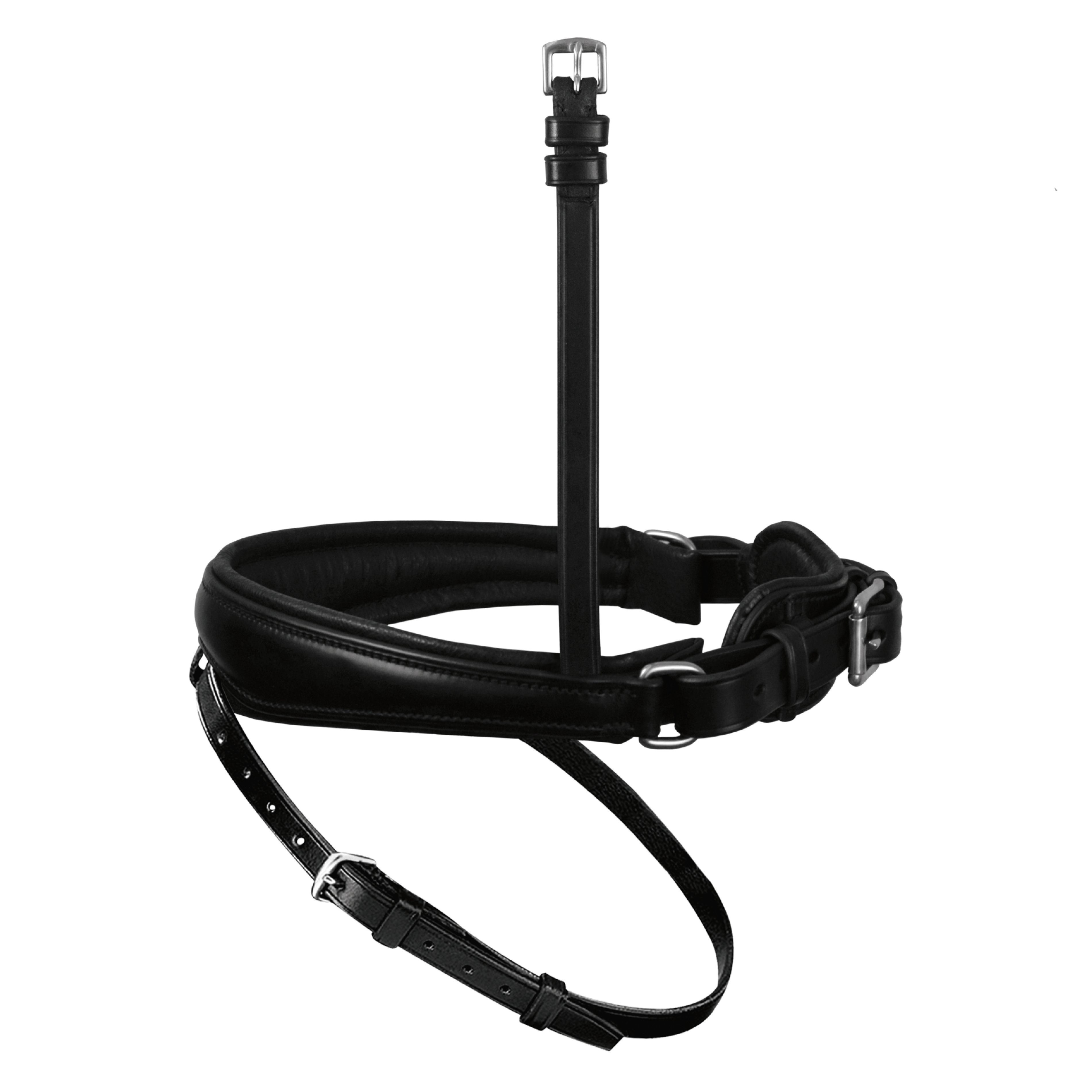 Noseband anatomical special in black