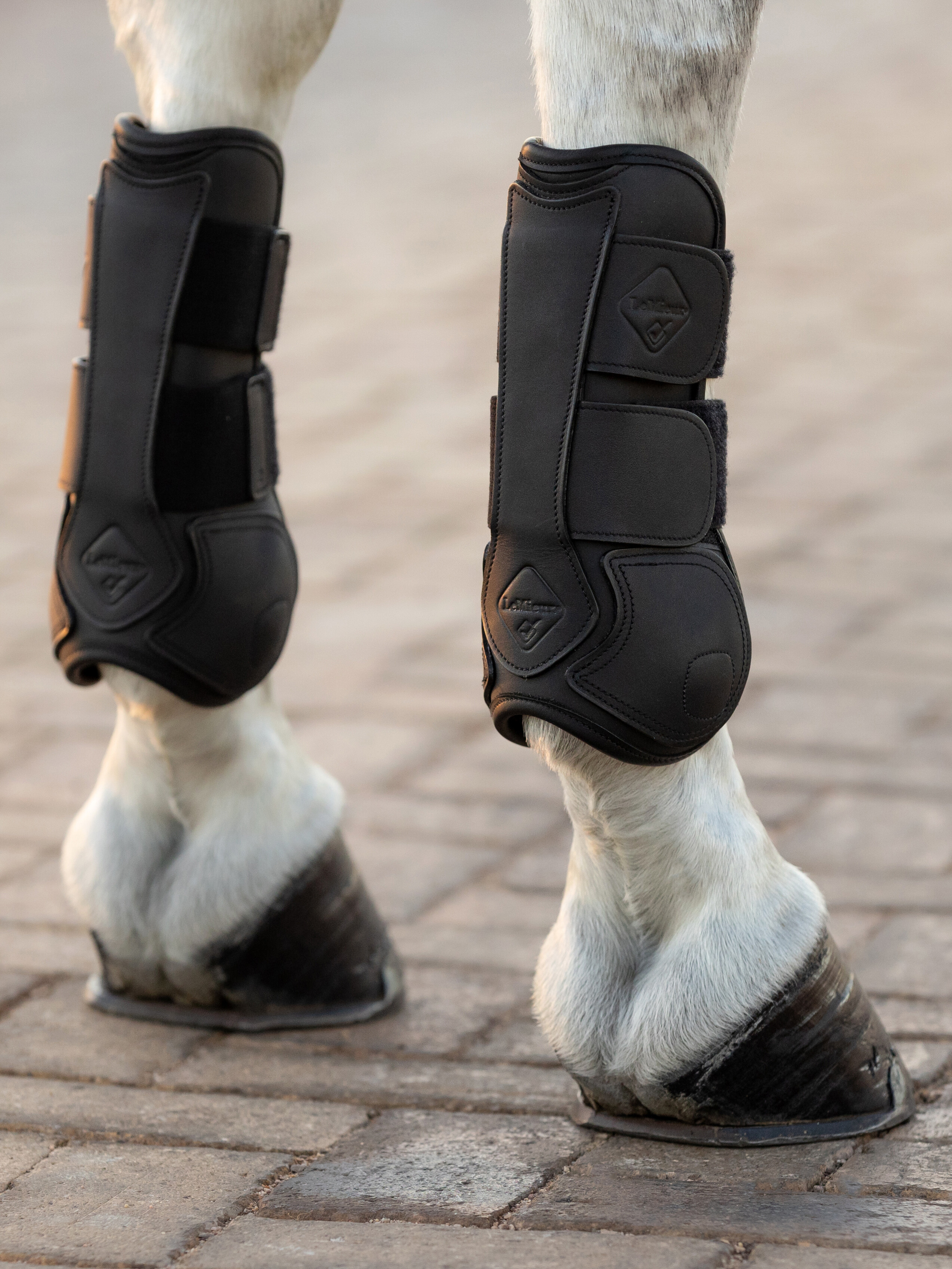 Capella tendon boots