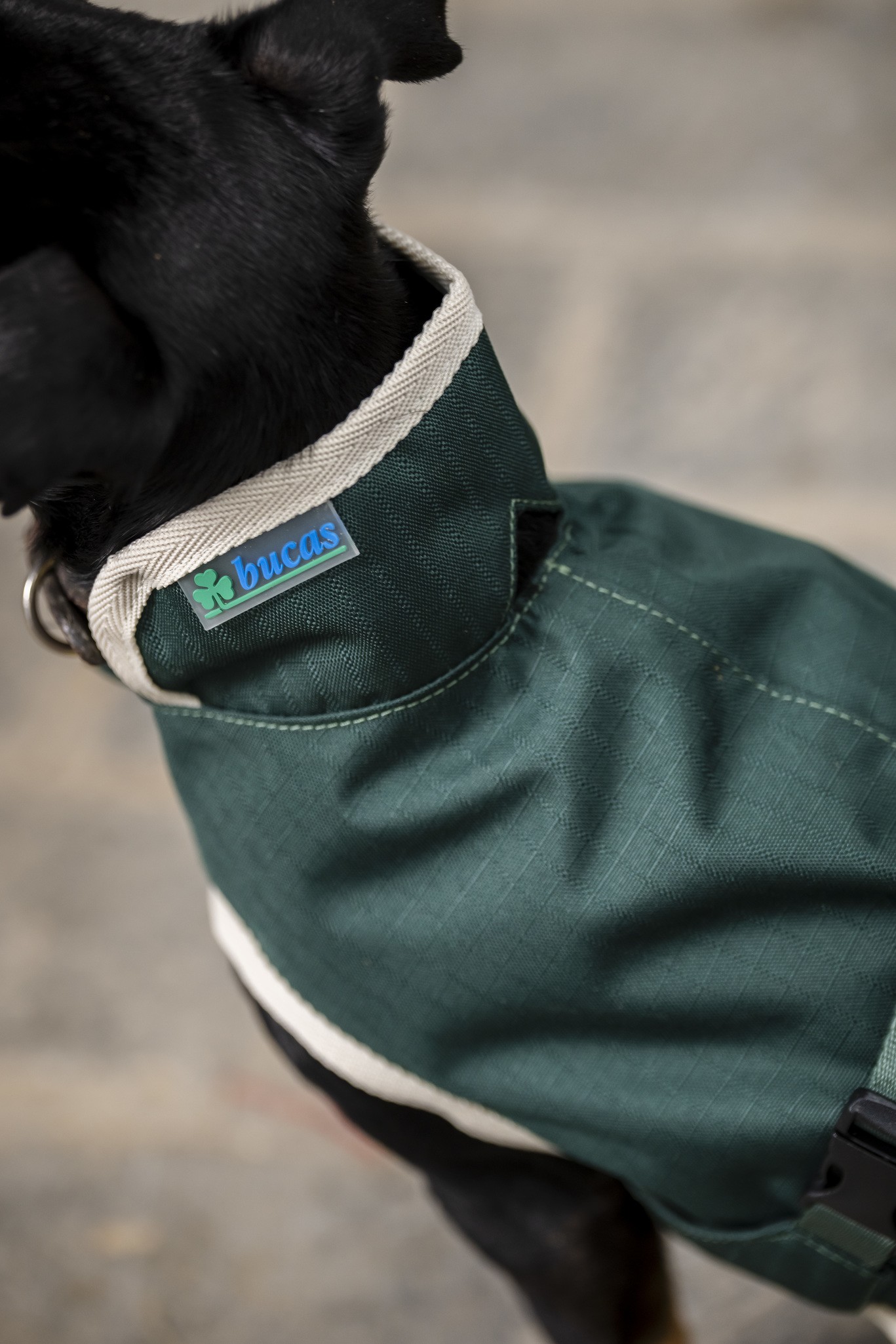 Hundedecke Greenline in Green/cream