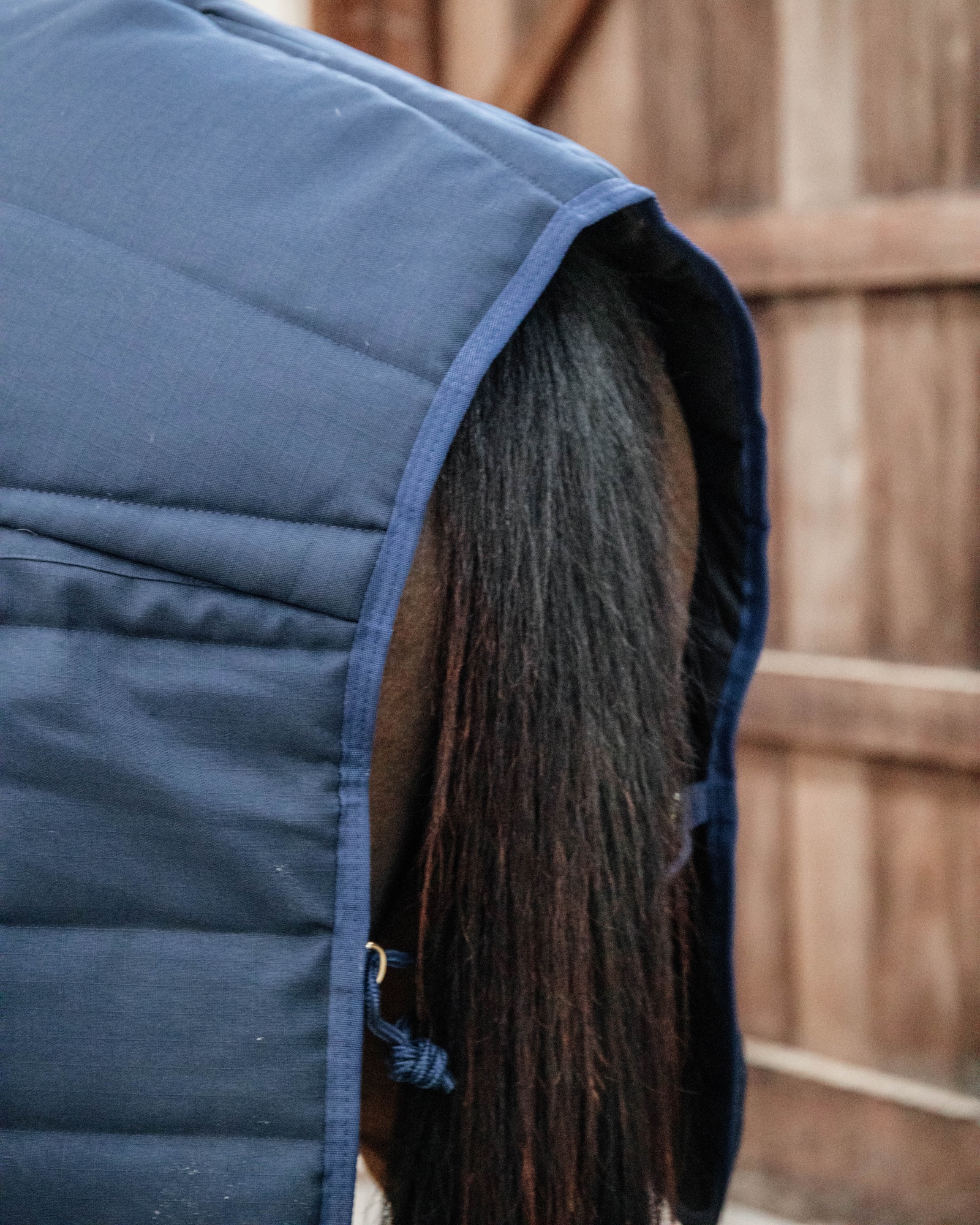 Classic 300g stable rug