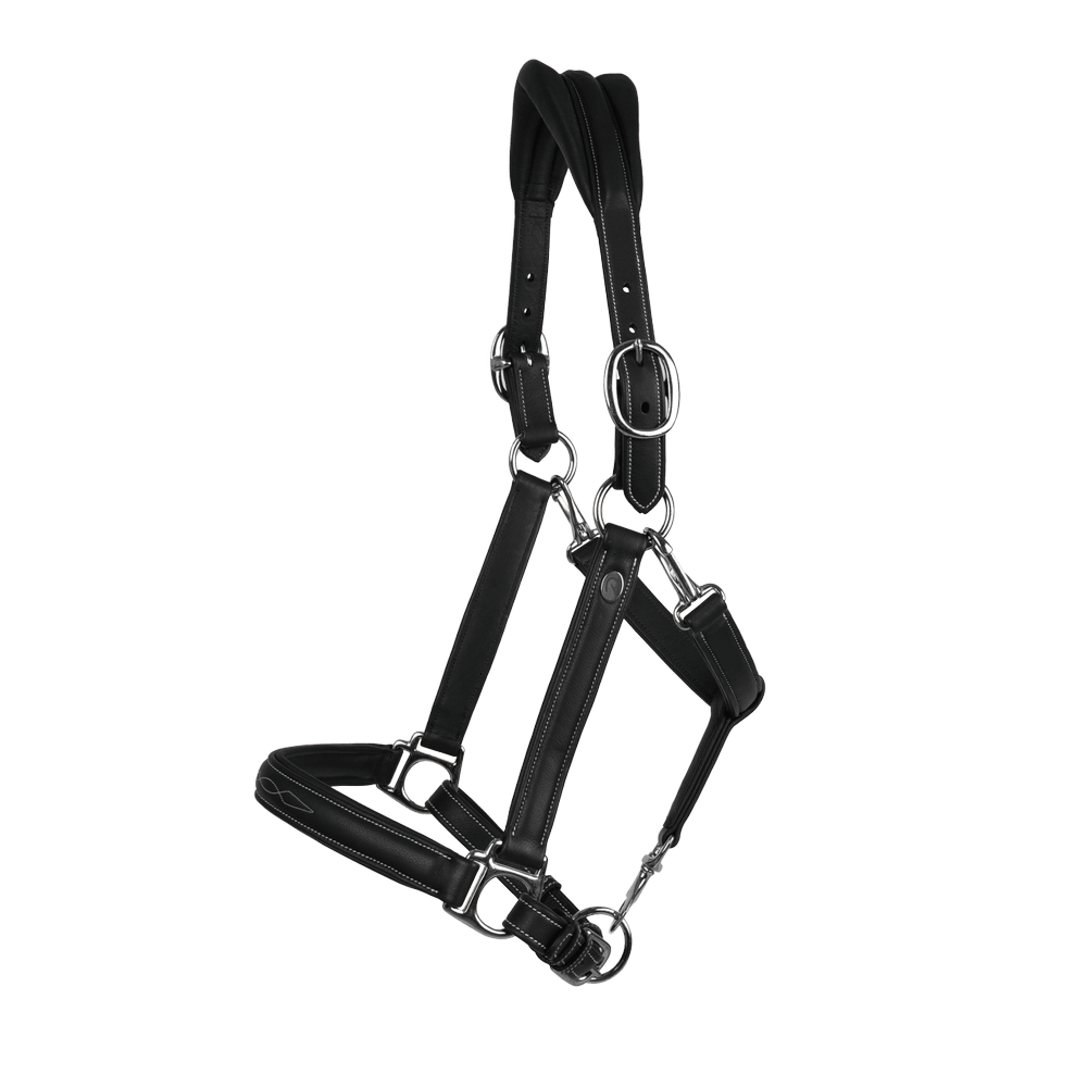 Licol Working 2 In 1 Transport & Stall