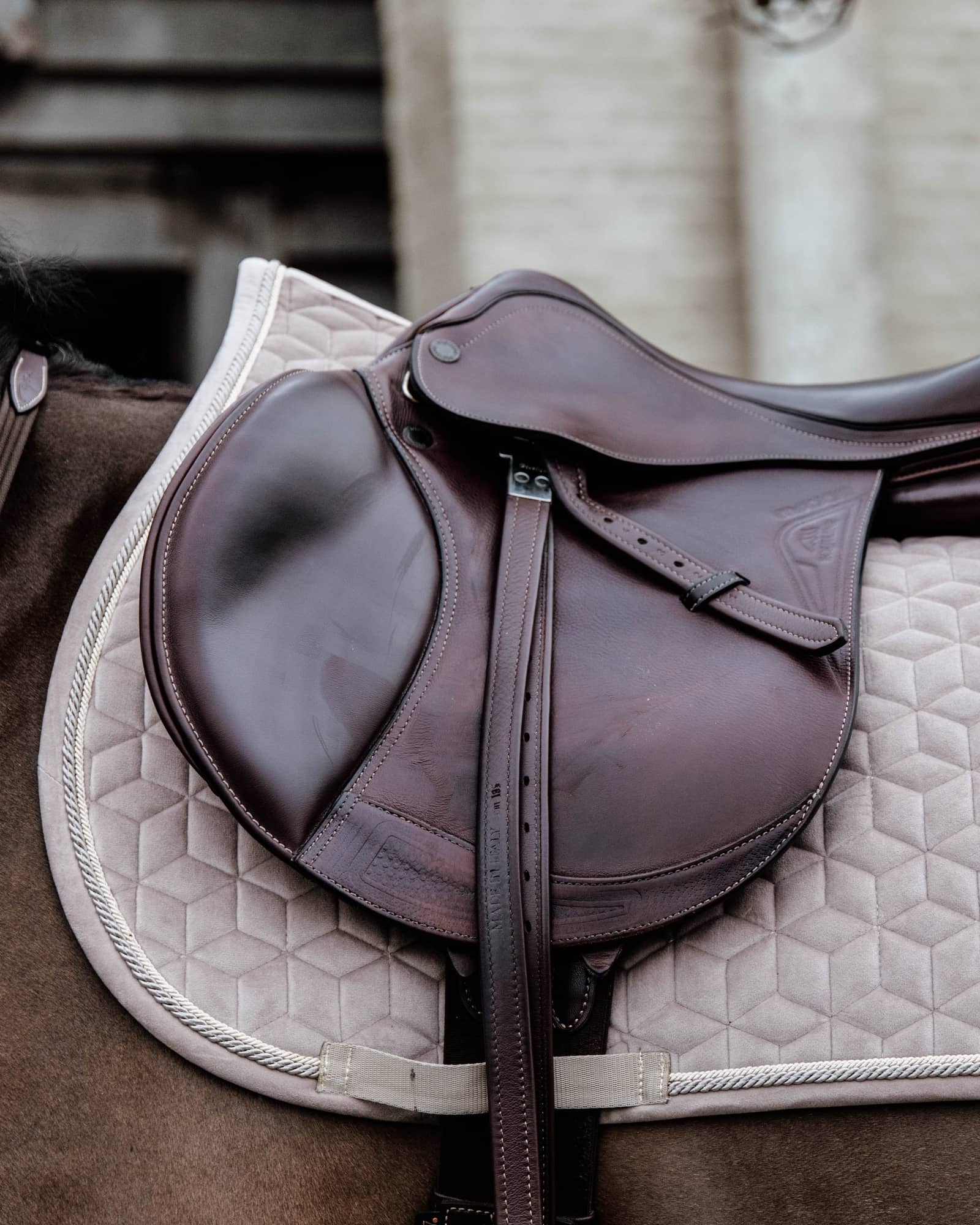 Jumping saddle pad Basic Velvet