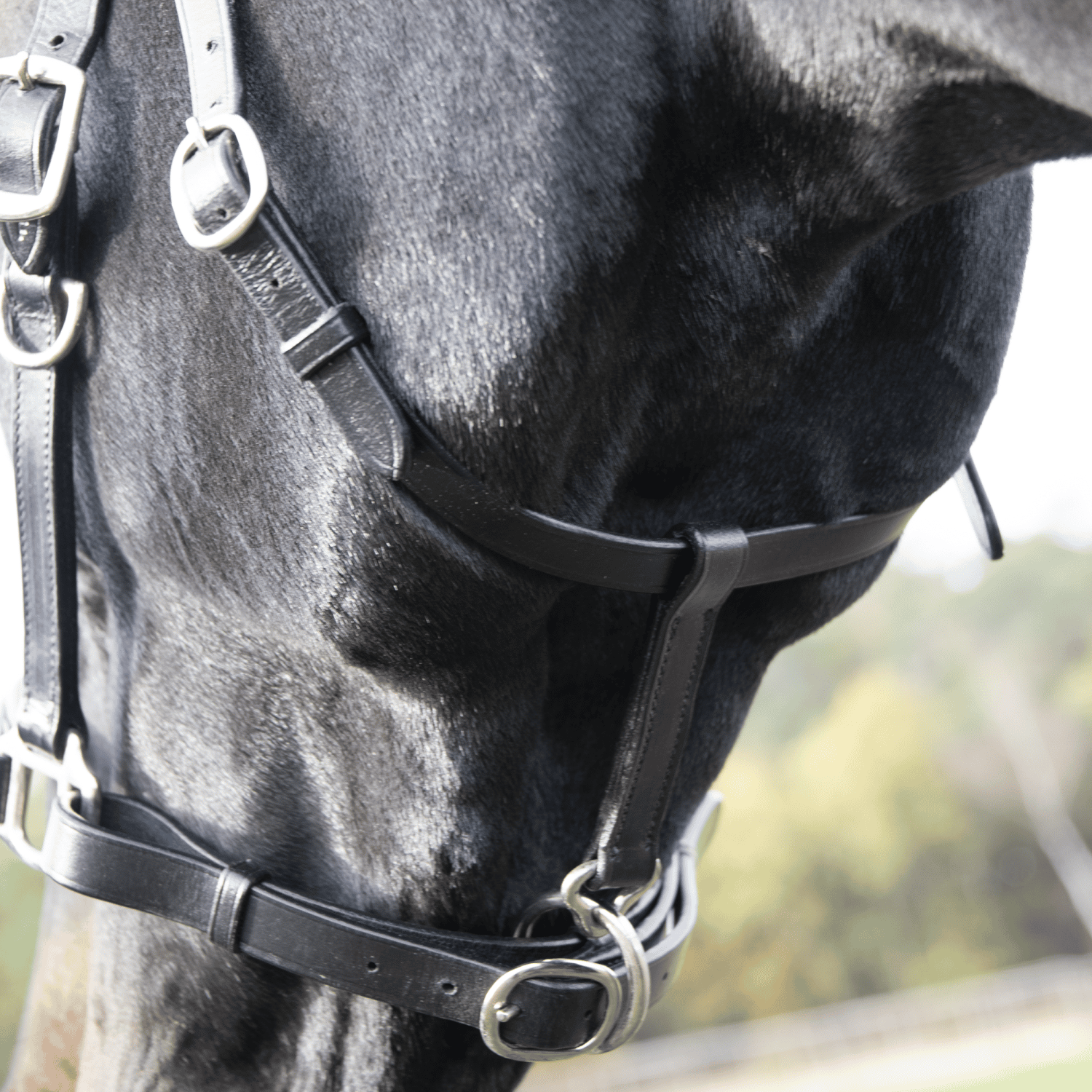 Travelling bridle Solibel