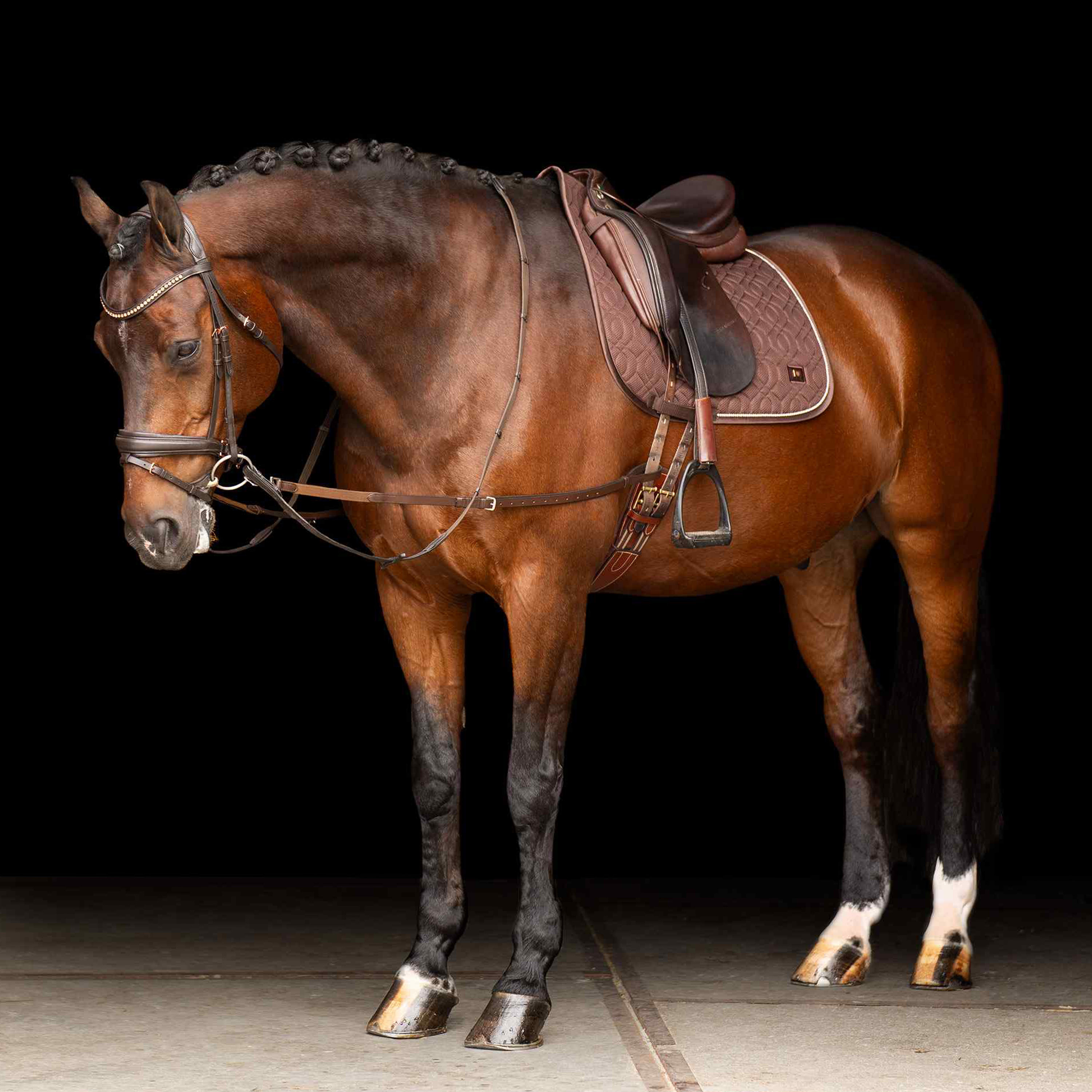 Ausbinder Leder mit Elastik