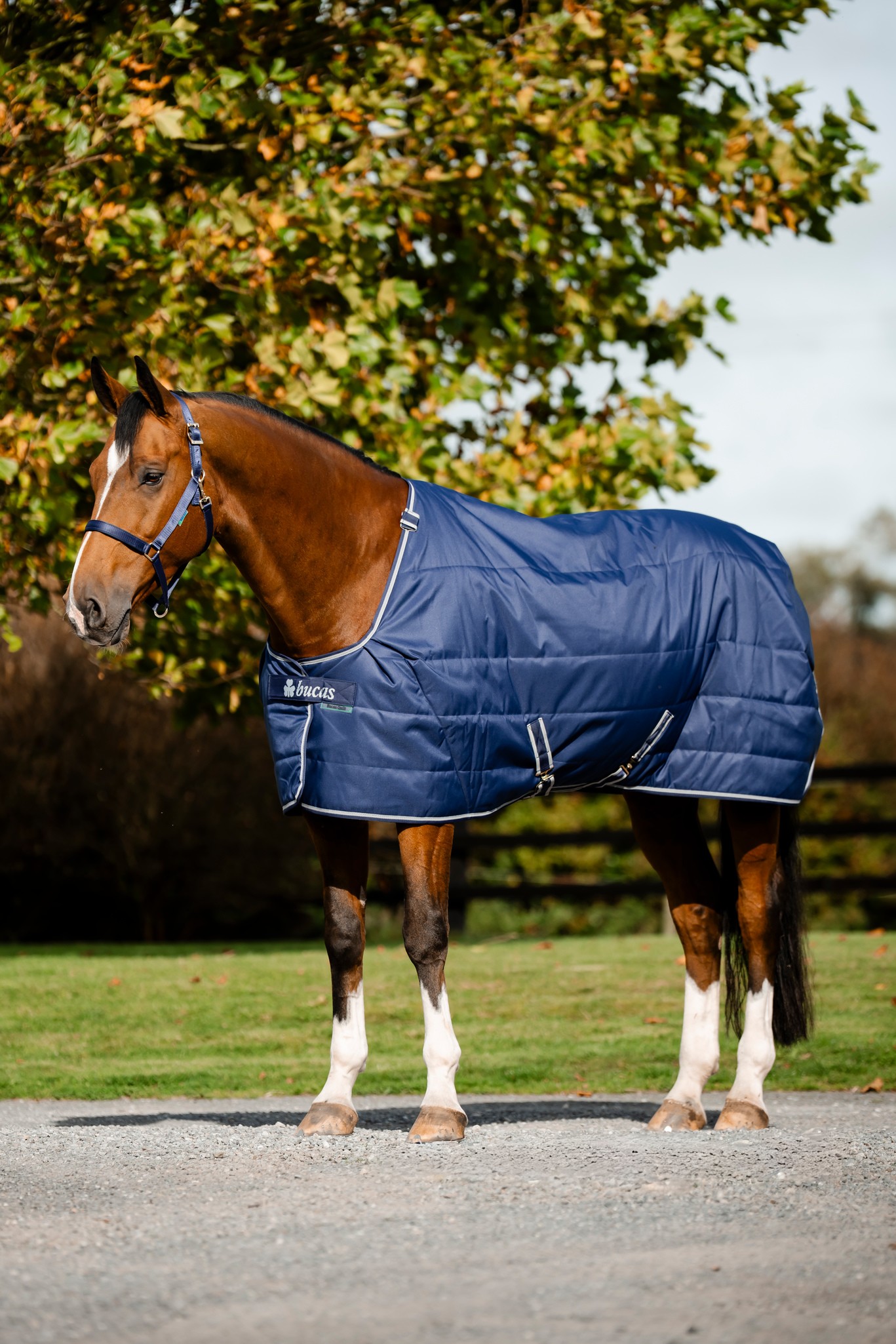Stalldecke Quilt in Navy