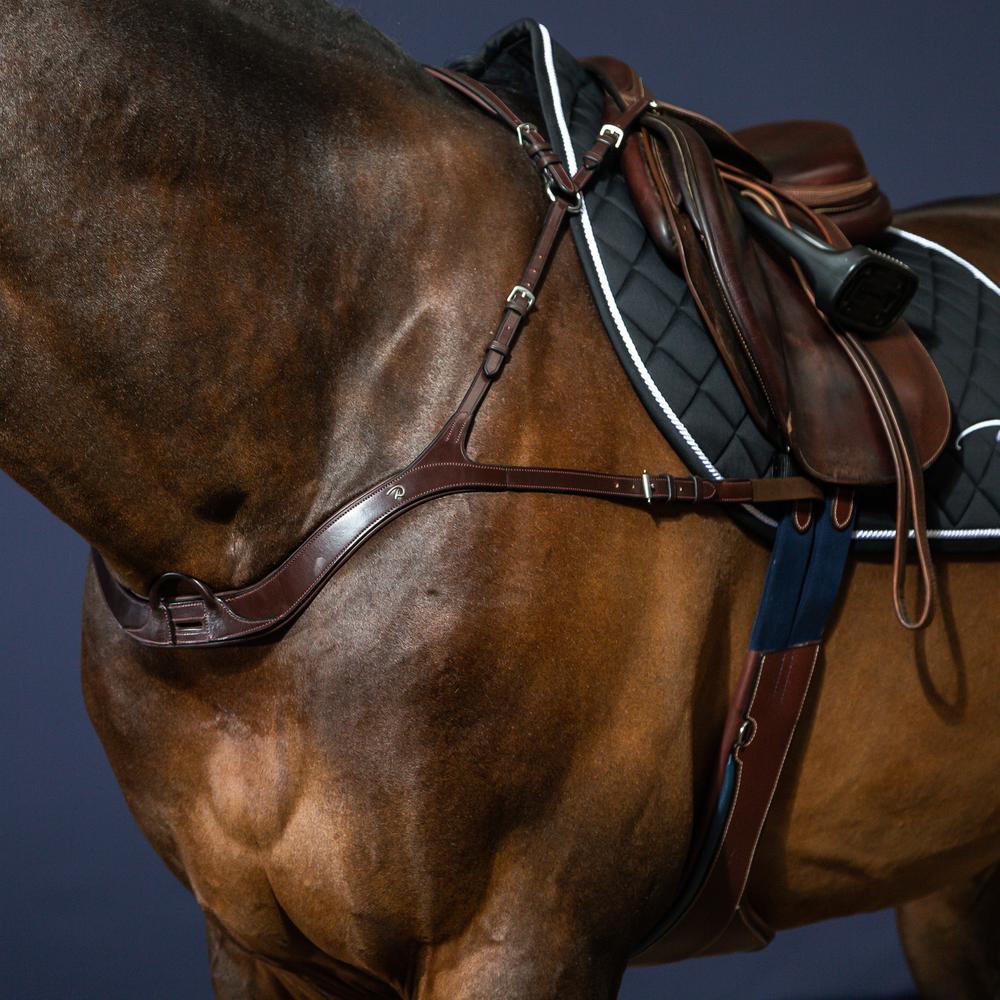 Anatomisches Vorderzeug