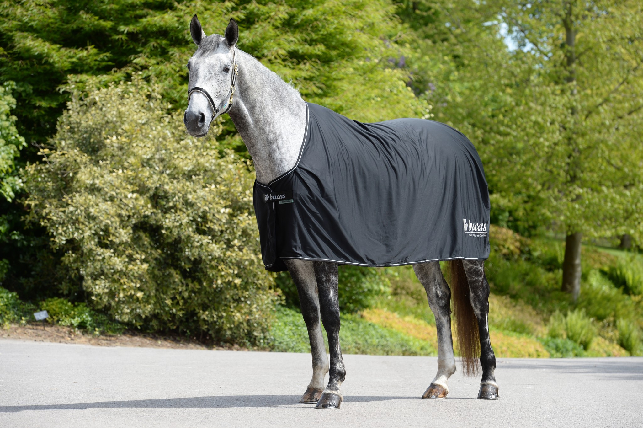 Abschwitzdecke Power Prize Cooler in Black/Silver Logo