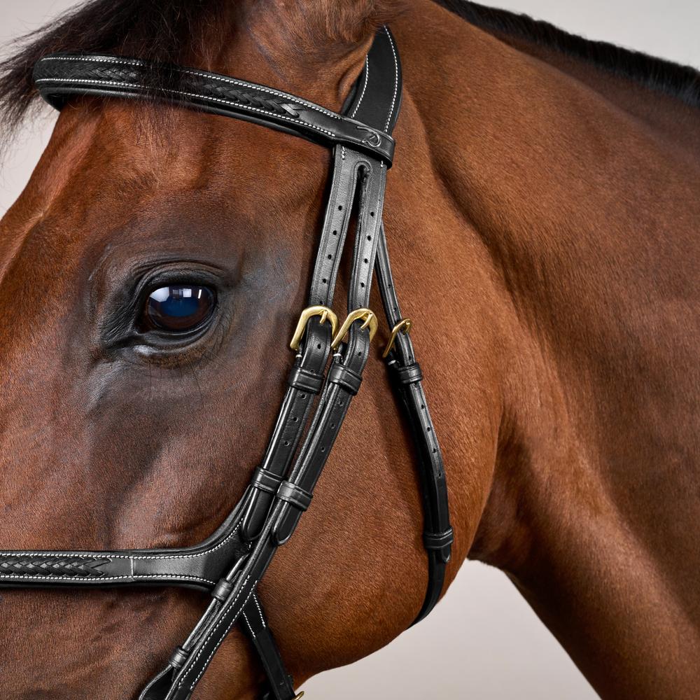 Trense mit geflochtenen mexikanischem Reithalfter DY |