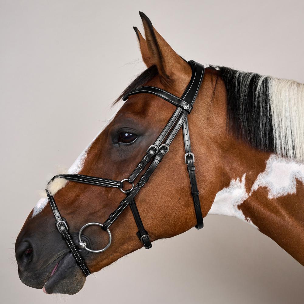 Trense mit mexikanischem Reithalfter WO