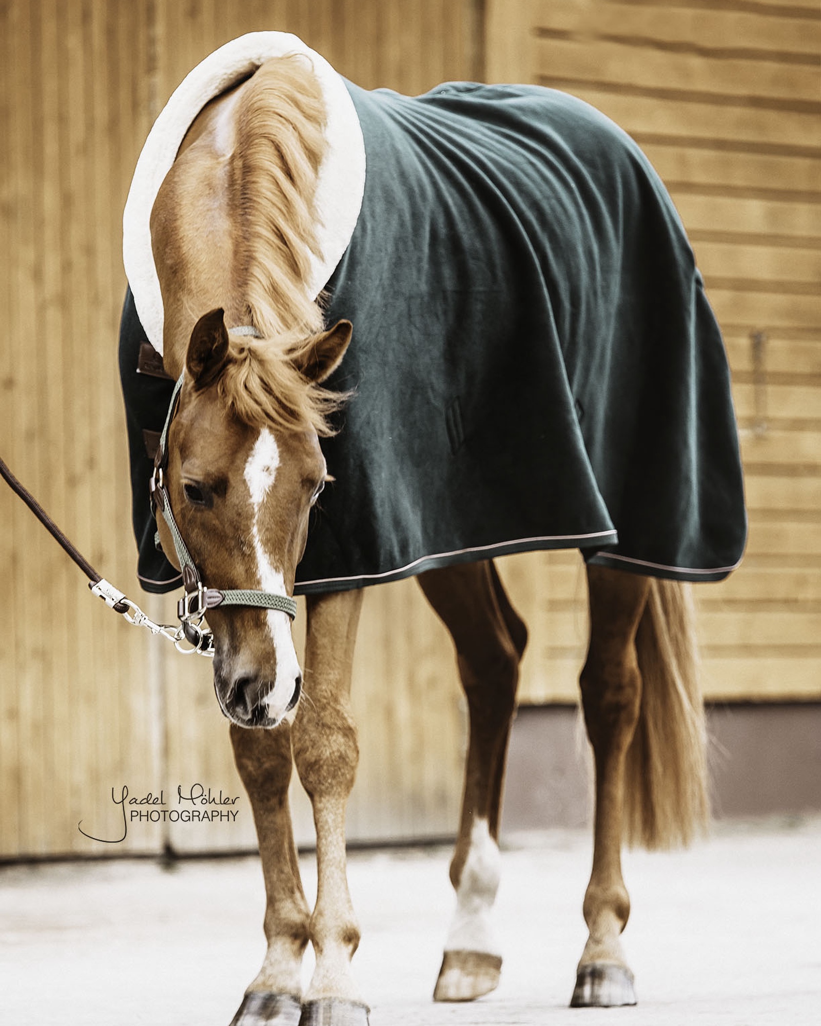 Fleece Show Heavy sweat rug