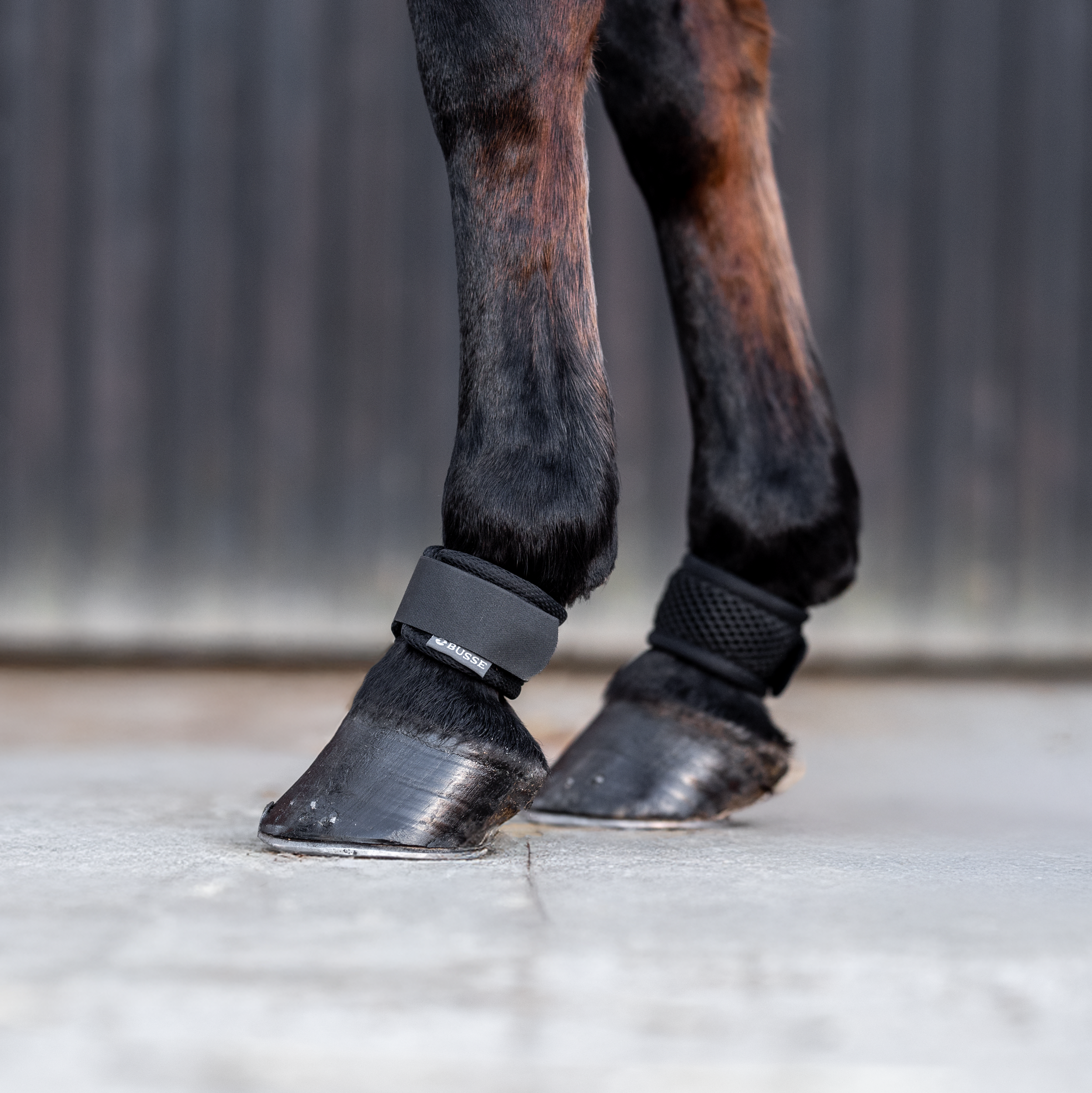 Fetlock protector 3D AIR EFFECT