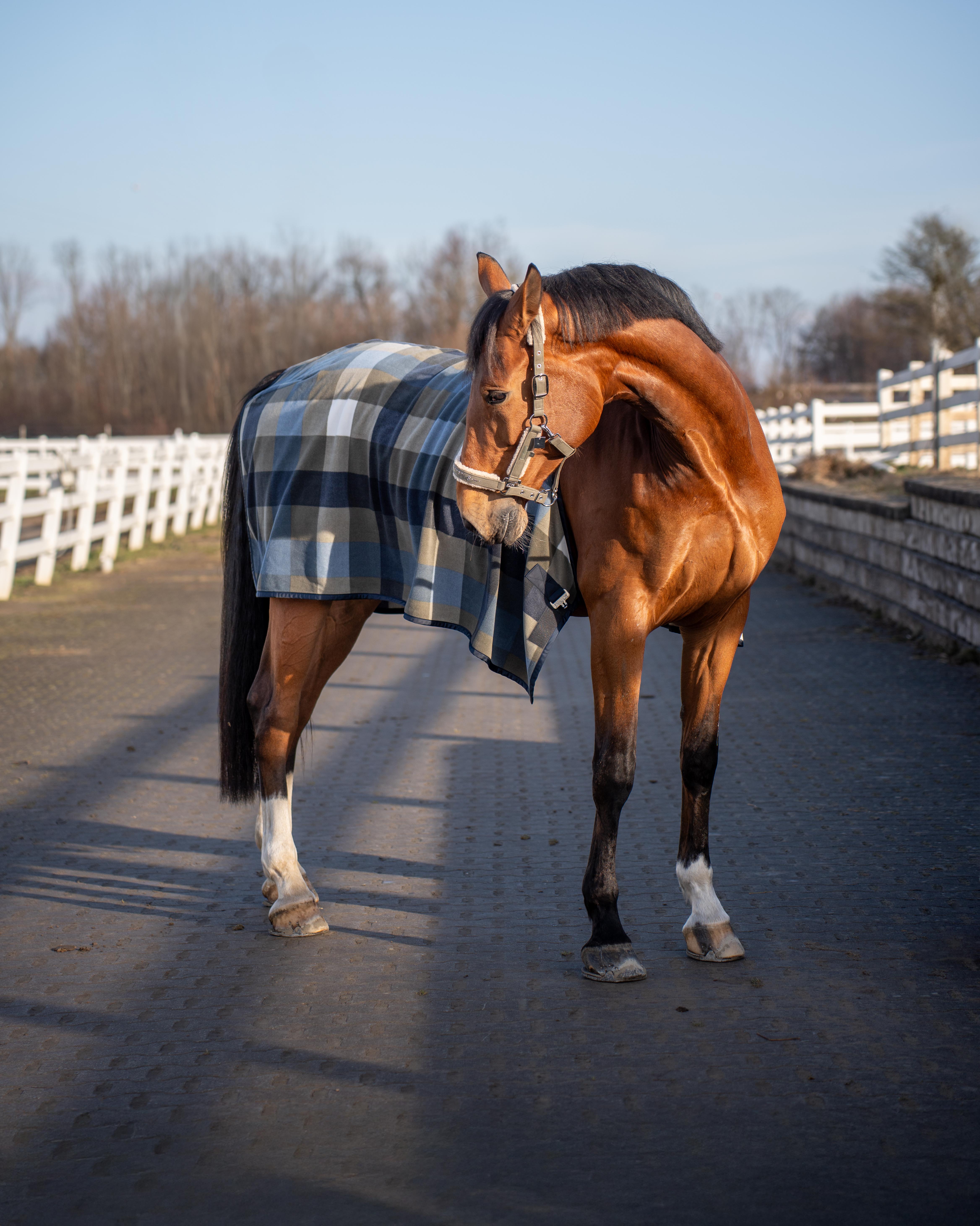 Abschwitzdecke Classic Sports Fleece Check