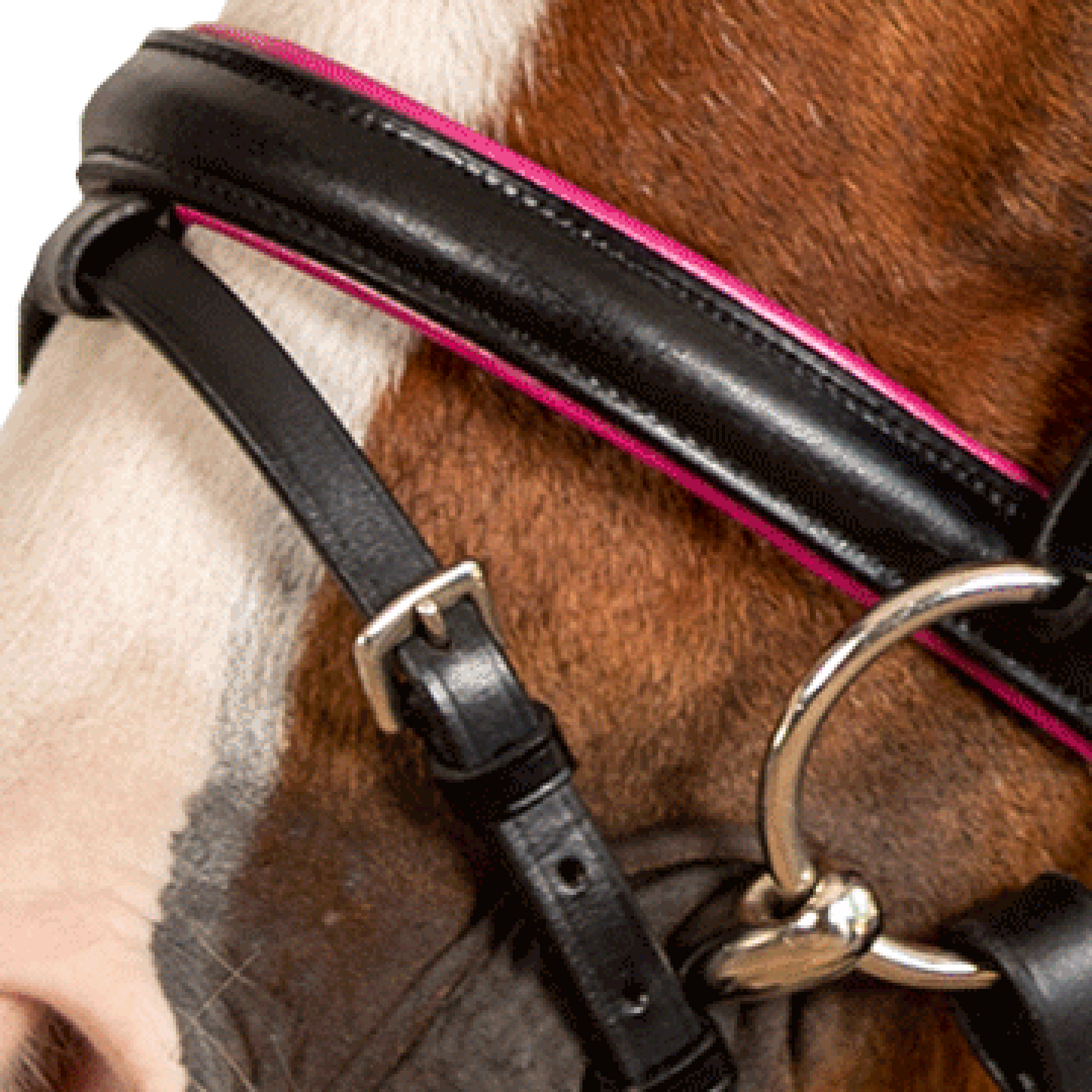 Snaffle bridle Pinky English comb.