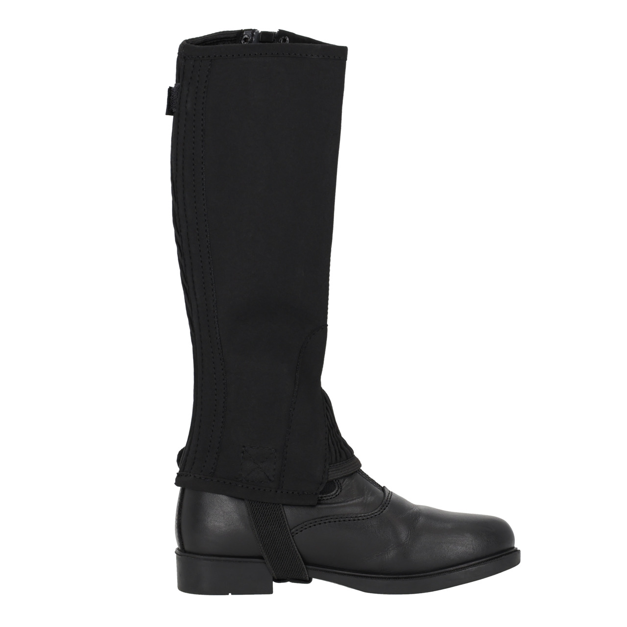 Chap Suede