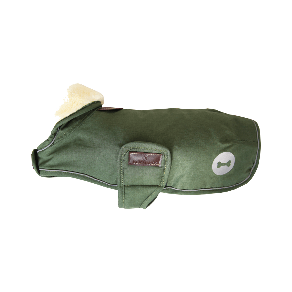 Hundemantel Wasserdicht 300g in olive